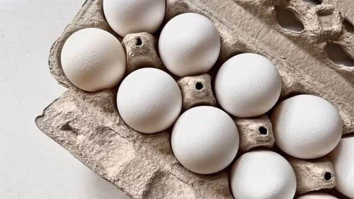 One dead in salmonella outbreak linked to eggs