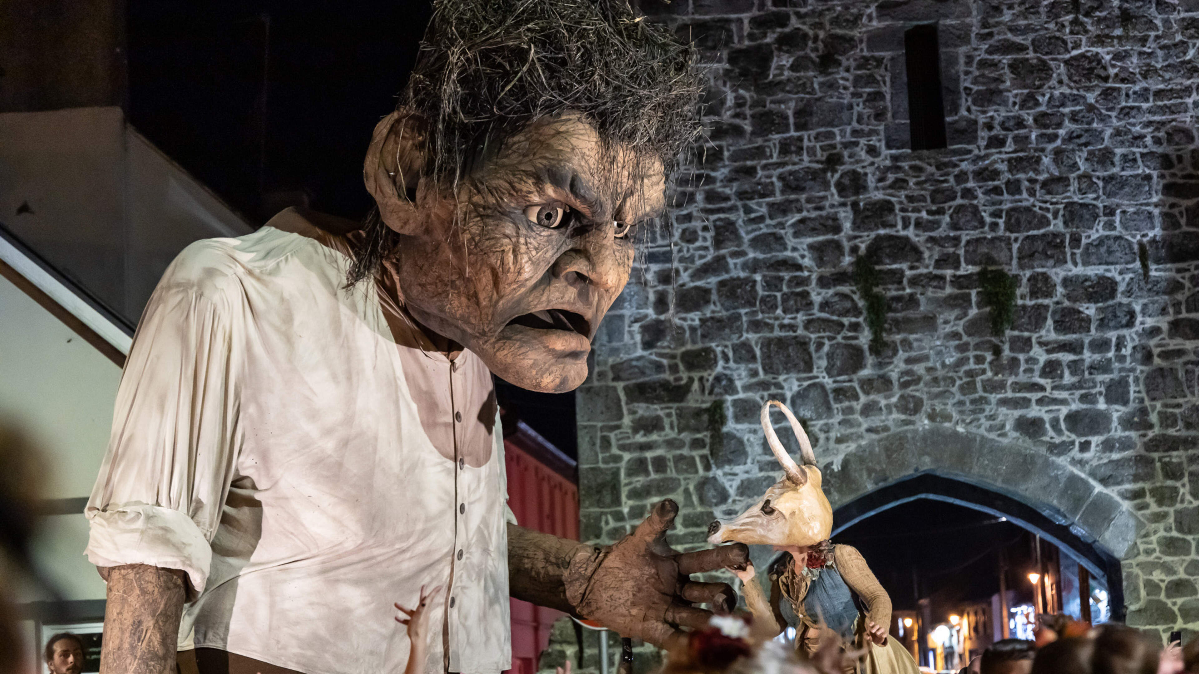 Design Agency Appointed for Galway Macnas Experience