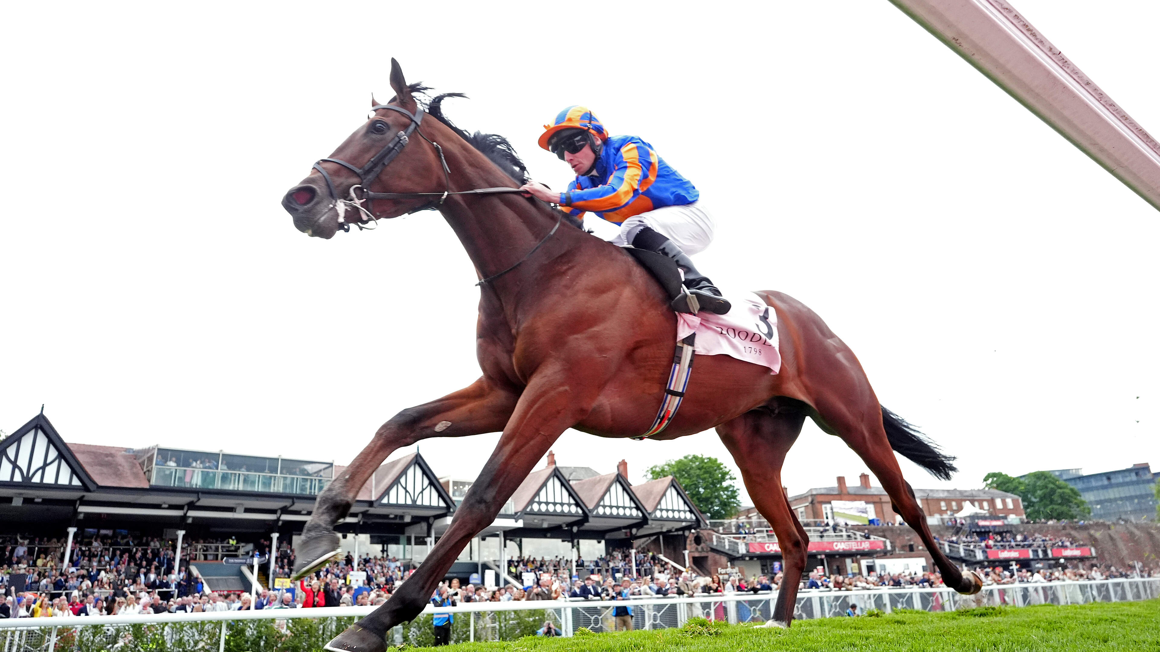 O'Brien's Constitution River and Ombudsman Clash at York