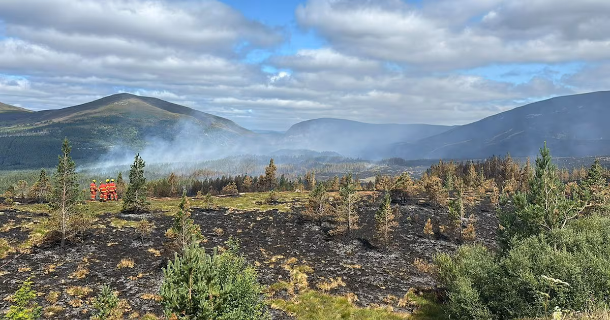Firefighters Leave Cairngorms Wildfire Scene After Five Weeks