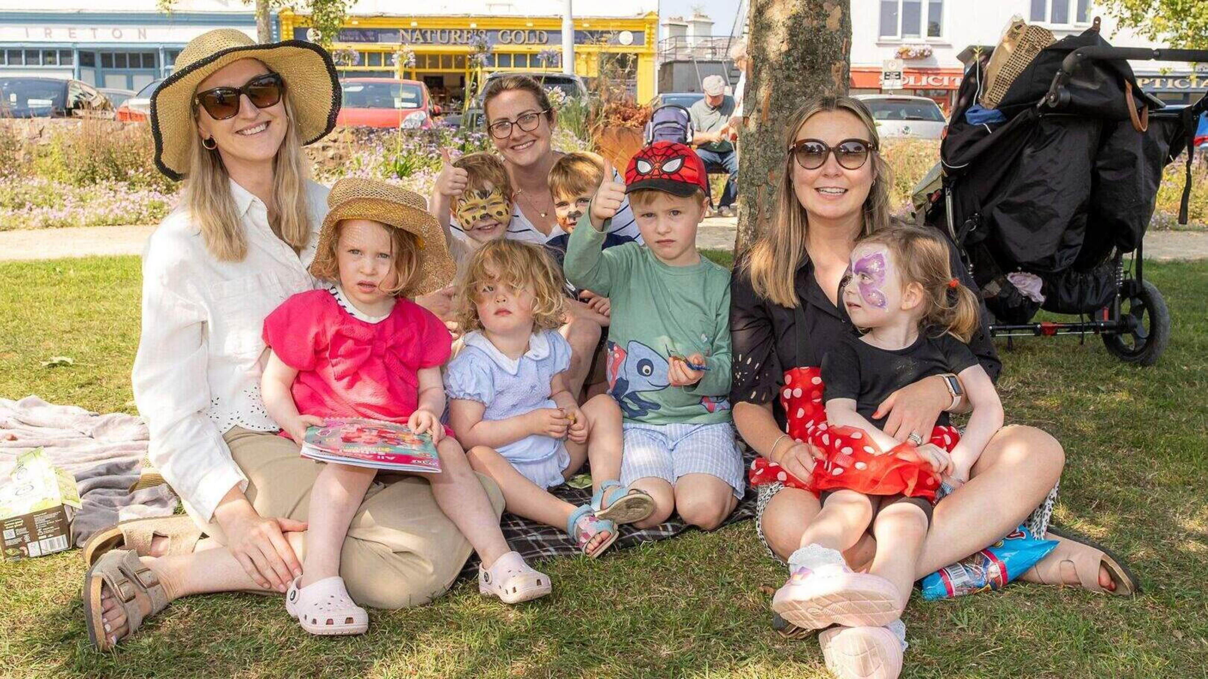 Picnic in the Park returns to Wicklow