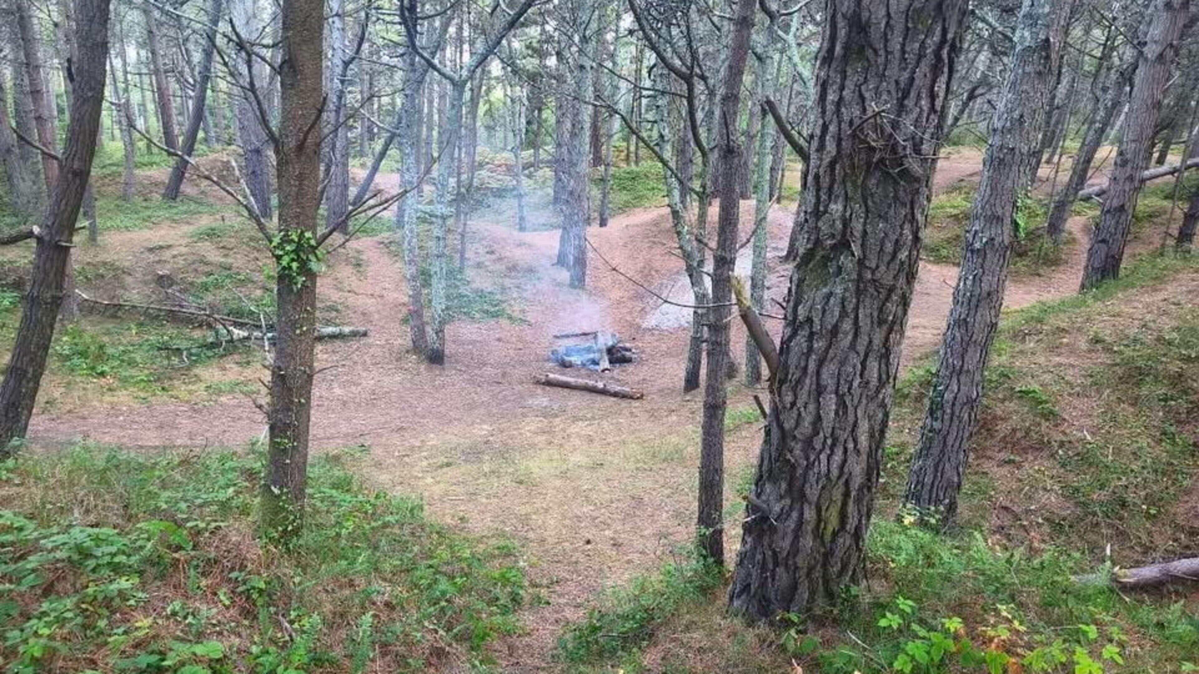 Campfire Criticized at Wexford Nature Reserve