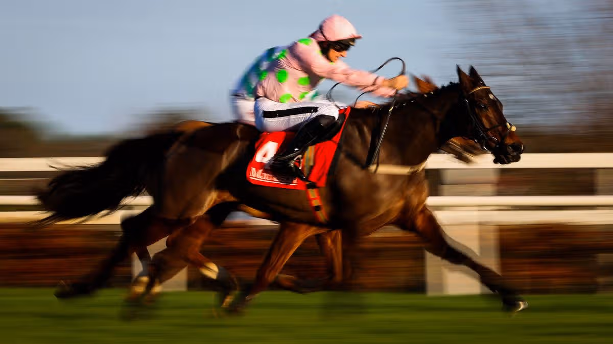 Death of Willie Mullins Star Triggers Tributes