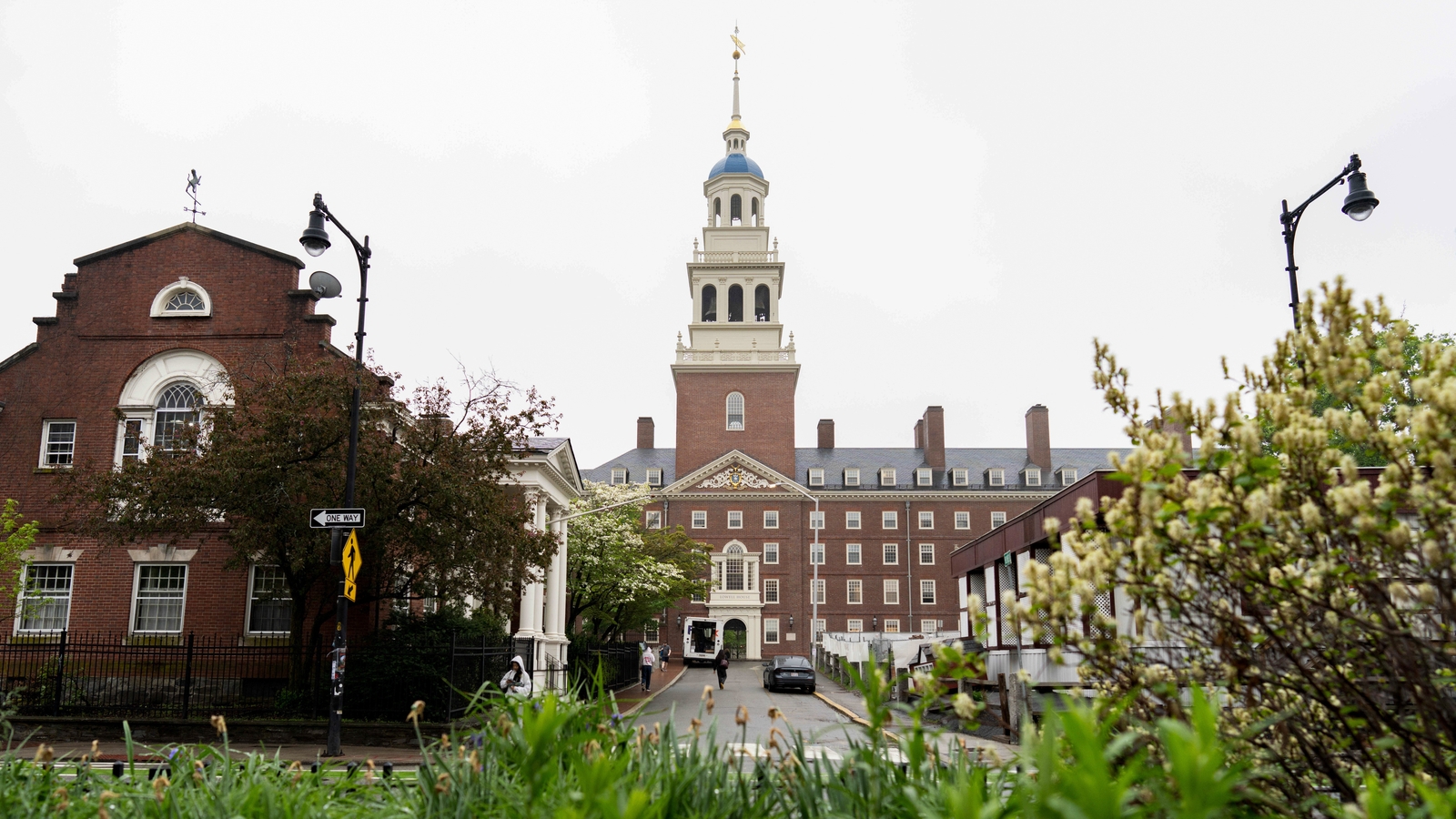Harvard to pay $53m over body parts scandal