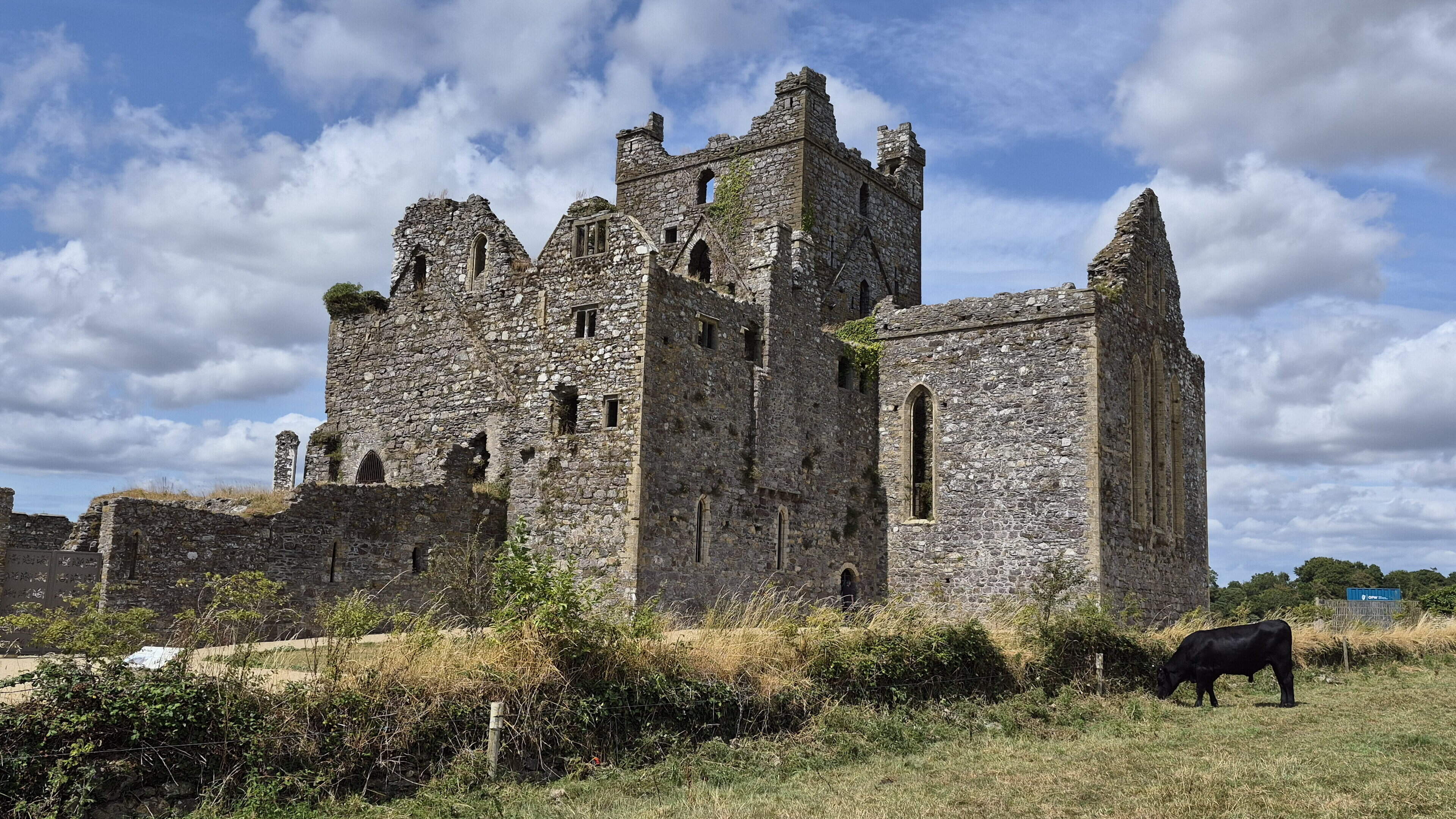 Dunbrody Abbey Reopens After Vandalism Closure