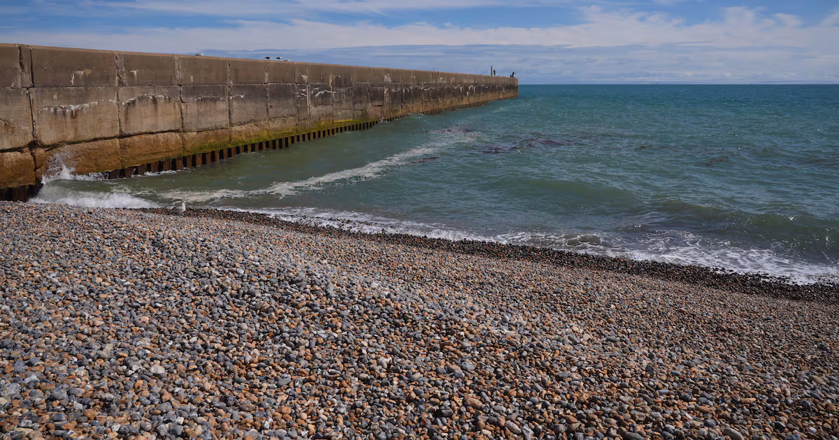 Family Members Who Died in Sussex Named