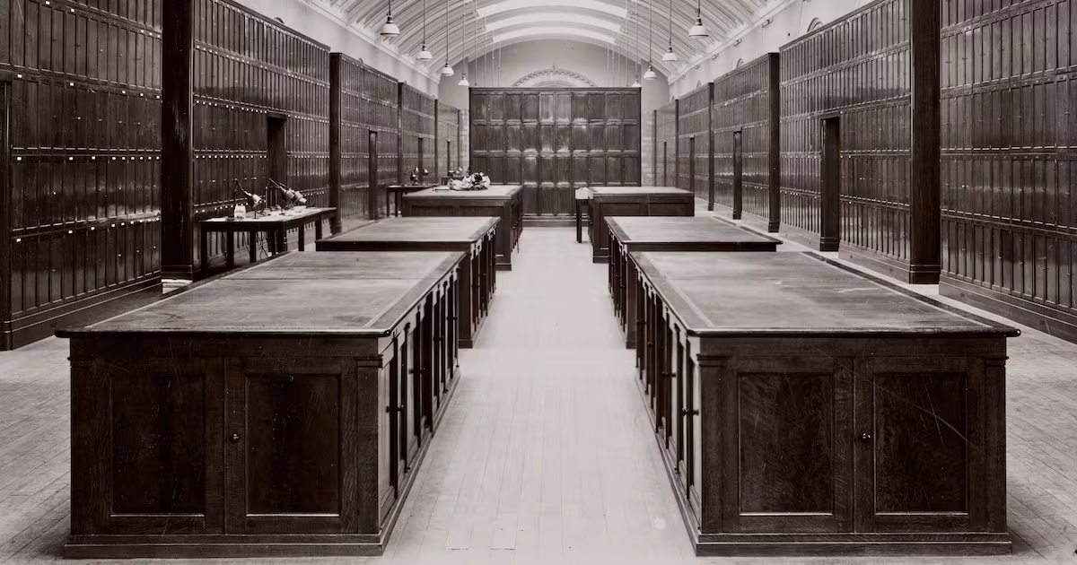 Natural History Museum Reopens WWII Era Gallery