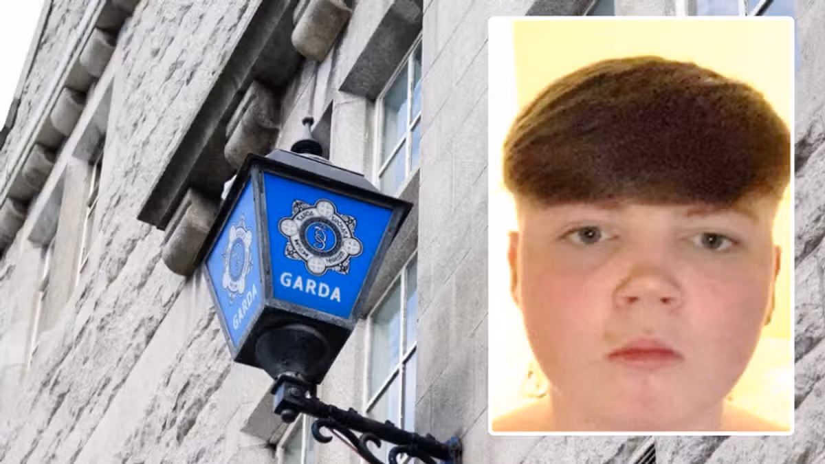 Gardaí search for missing teenager Eddie Moroney