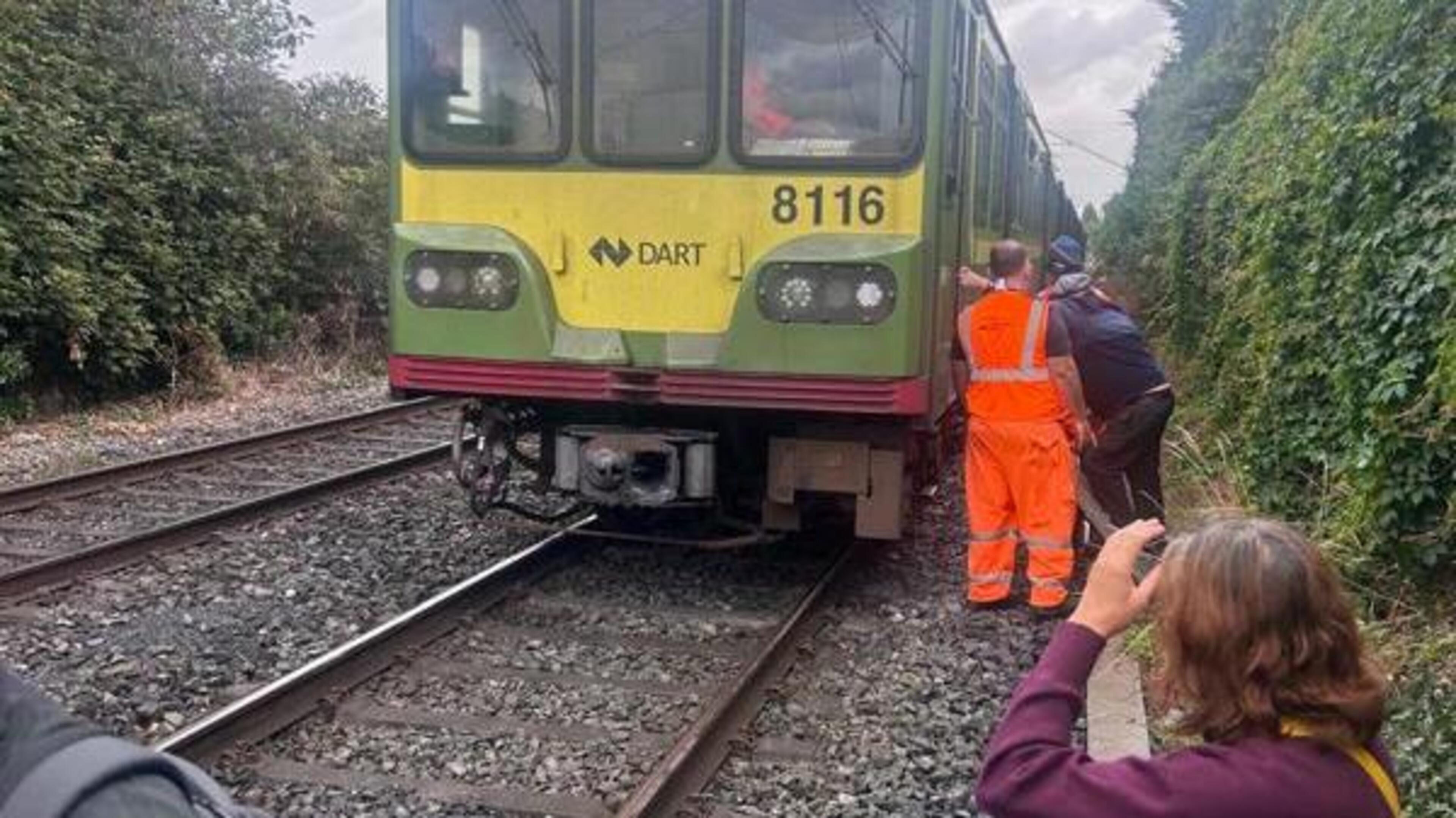 Major Signalling Issue Disrupts Dart Line Services