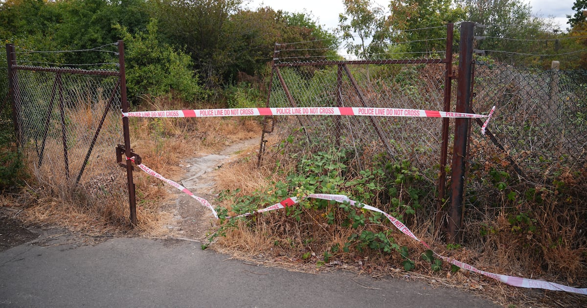 Murder inquiry after wildfire reveals human remains