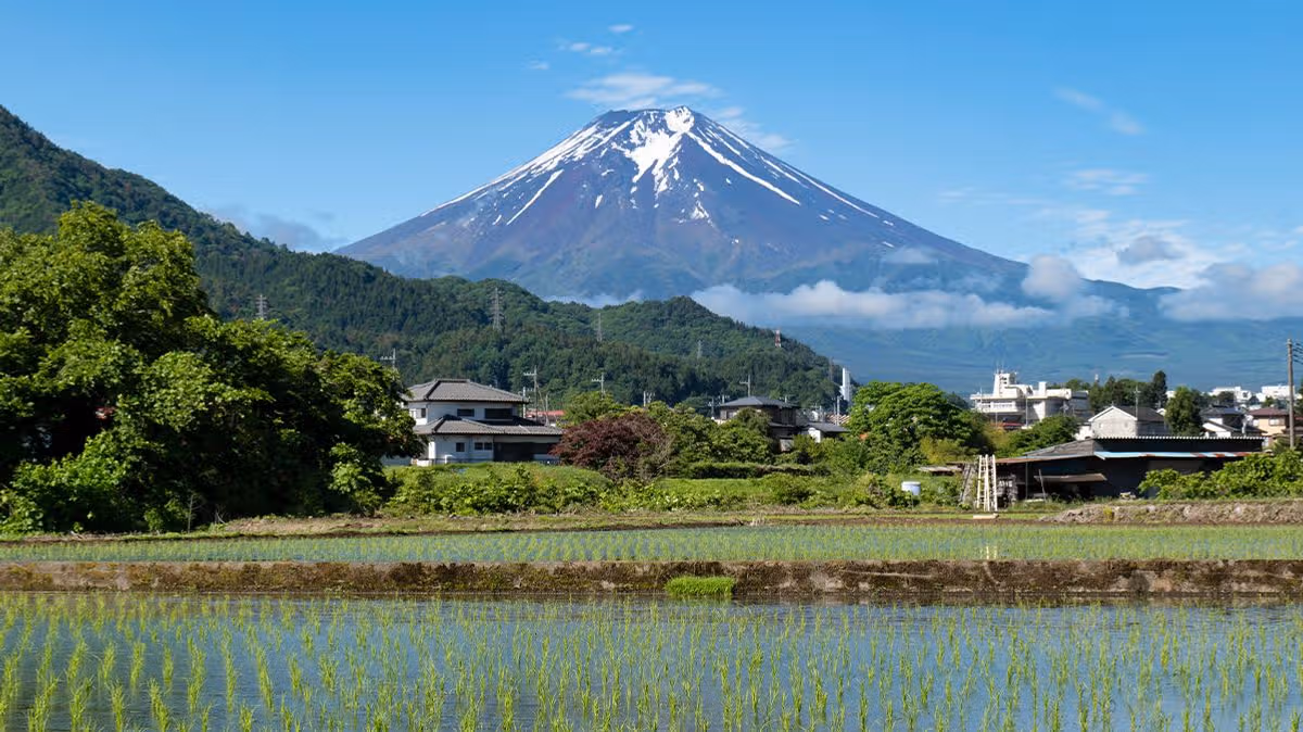 Boy, seven, abandoned on mountain in Japan