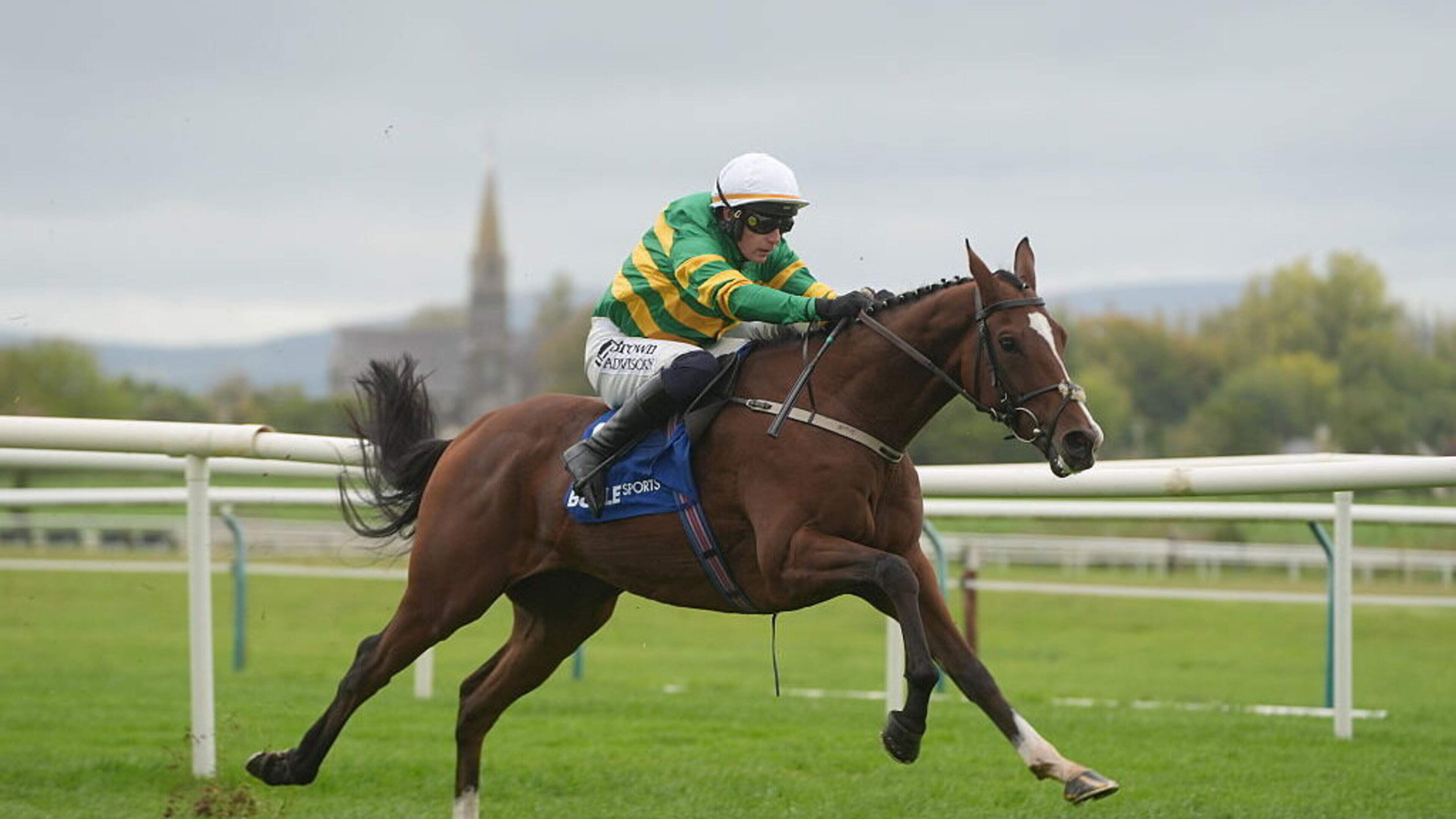 Love Me Tender Aims for Ebor Victory