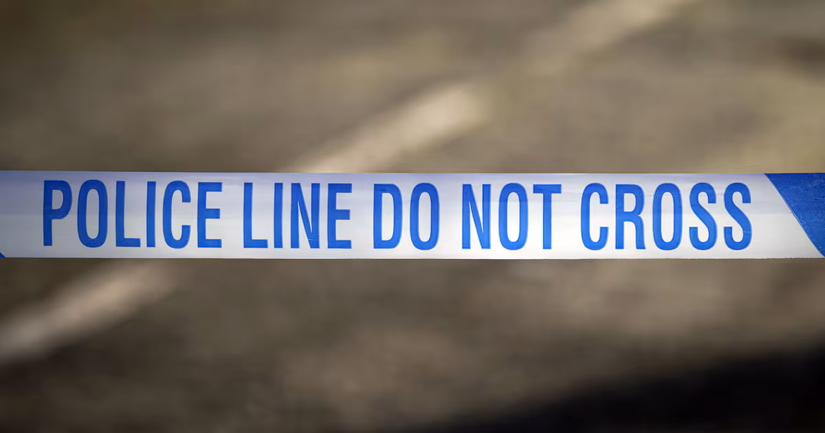 Multiple fatalities in police vehicle collision