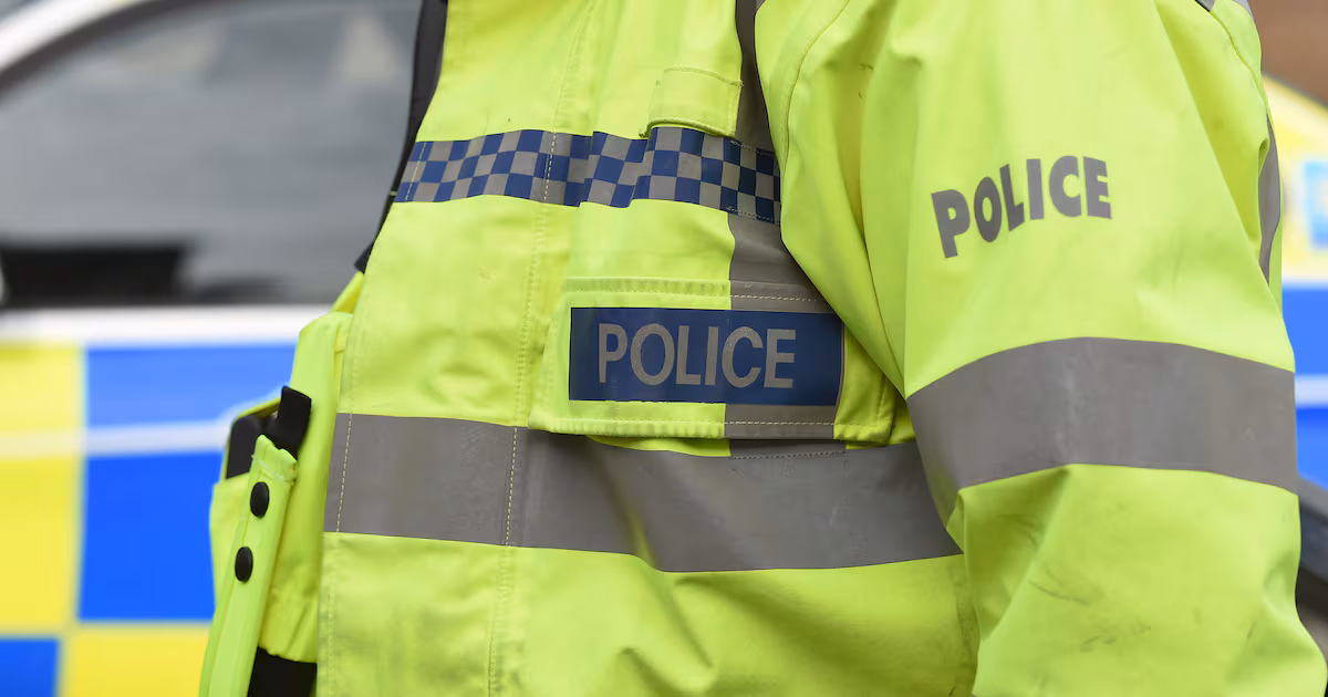 Watchdog investigates fatal police pursuit crash