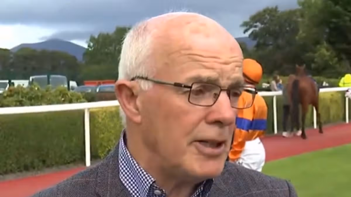 Ted Walsh backs Irish teenage jockey Holohan