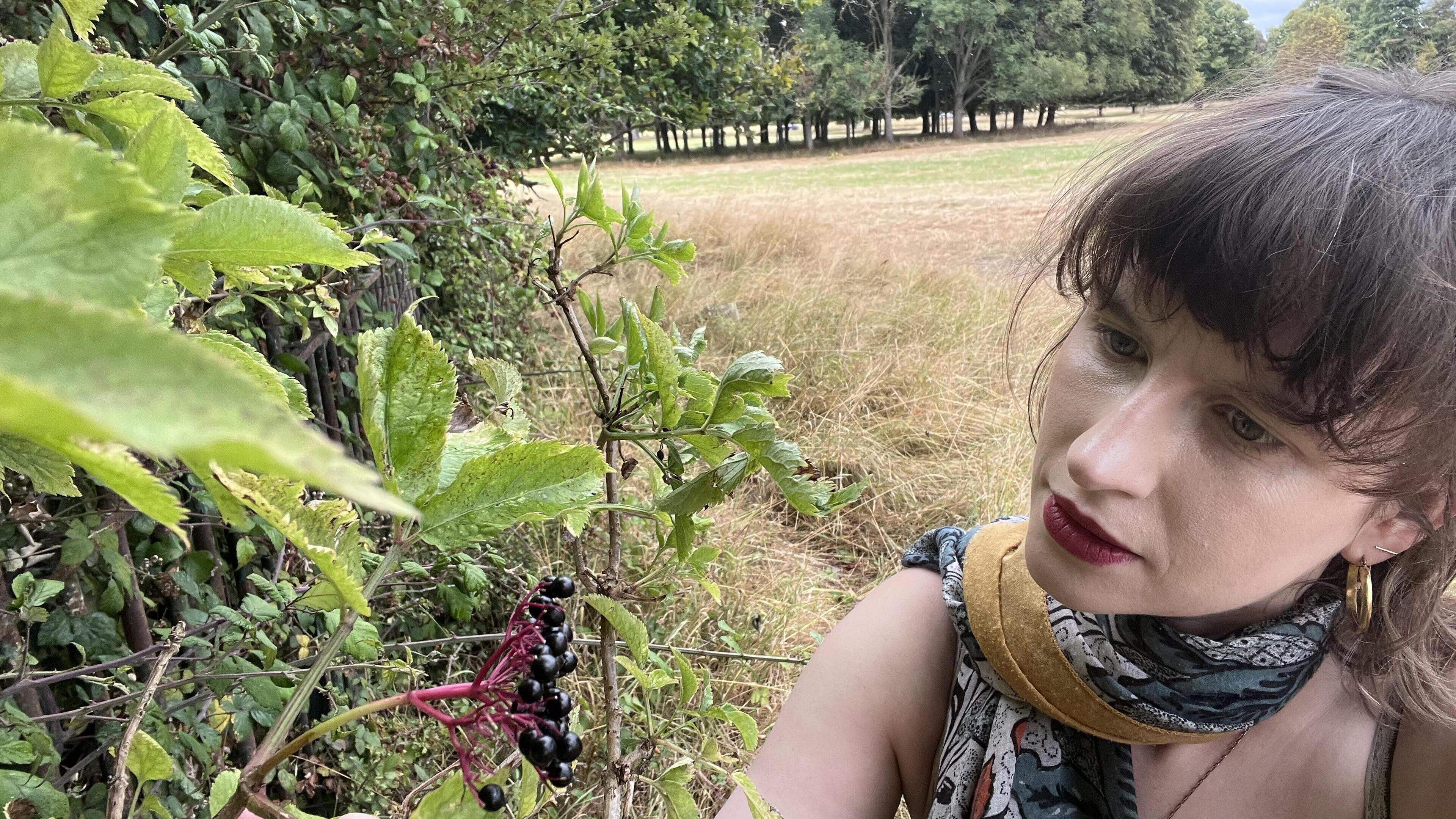 Foraging as a New Passion