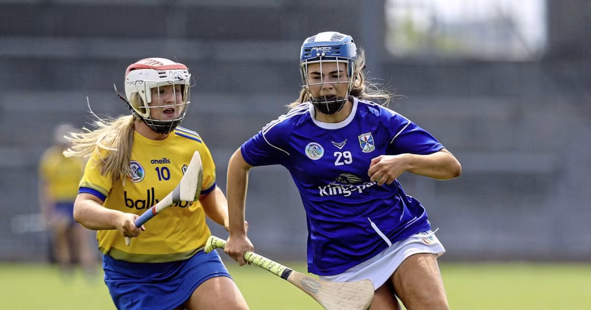 Keenaghan goal wins thriller in Cavan camogie