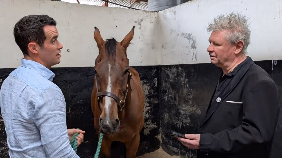 Shark Hanlon Celebrates Hewick's Career