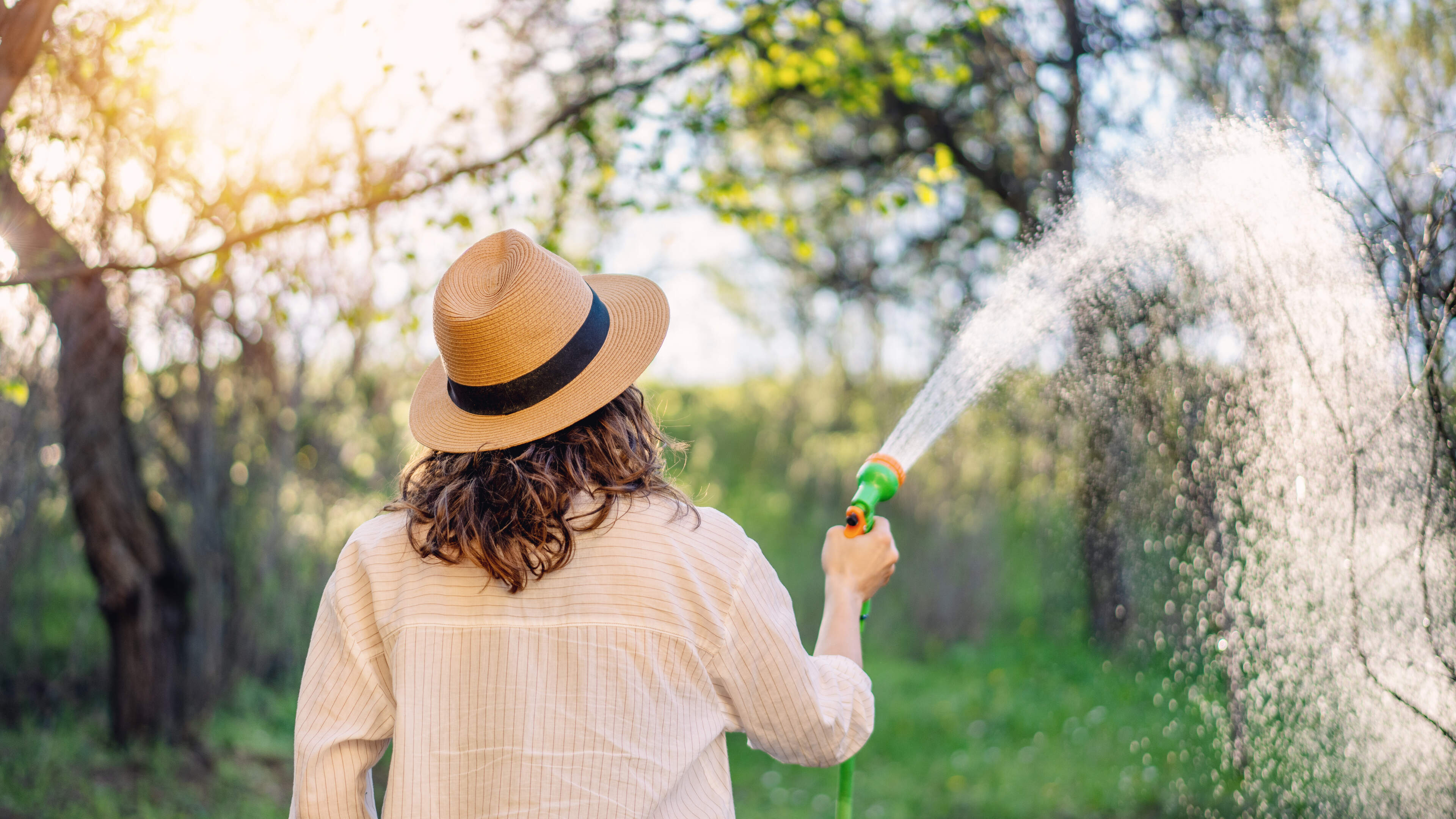 Louth Hosepipe Ban Set to Be Lifted