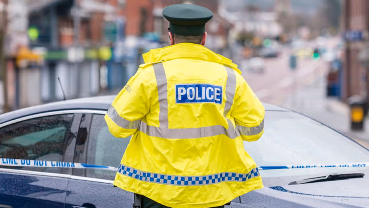 Police Address Concerns Over Dog Deaths