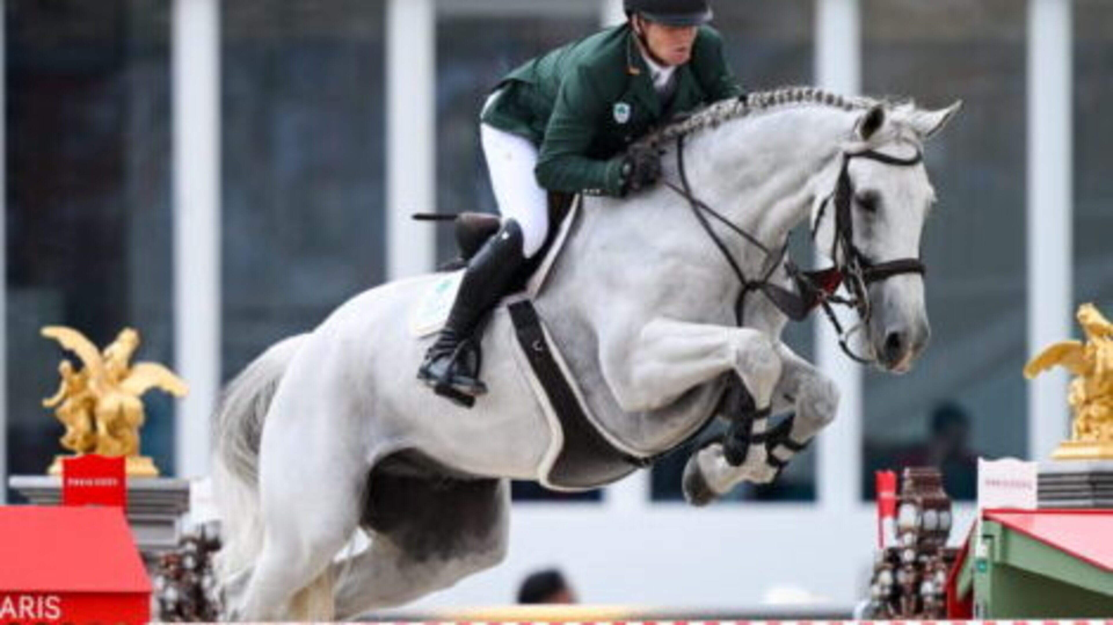 Interim Examiner Appointed for Horse Sport Ireland