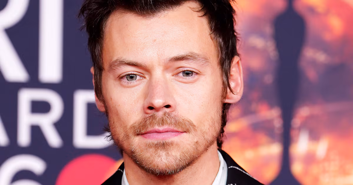 Harry Styles Discusses Break from Music