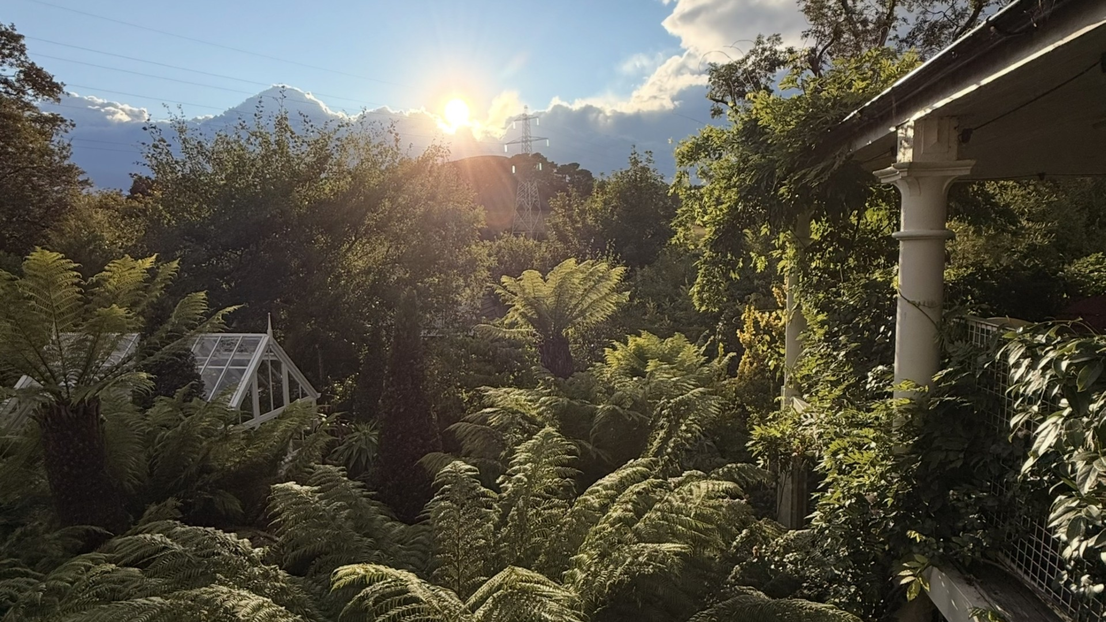 Gardening Lessons from Dry Summer