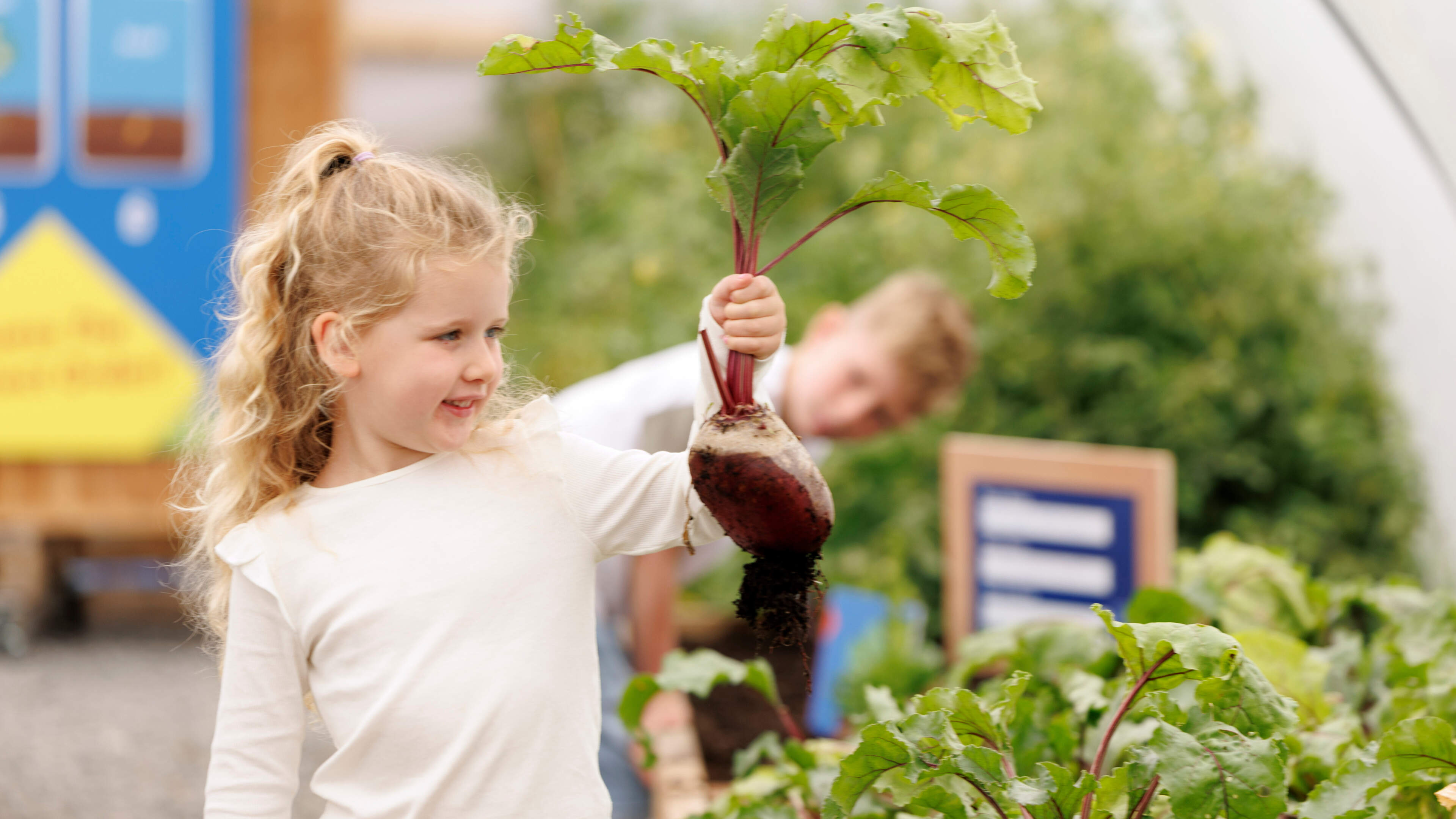 Lidl Launches Irish Language Fruit and Vegetable Campaign