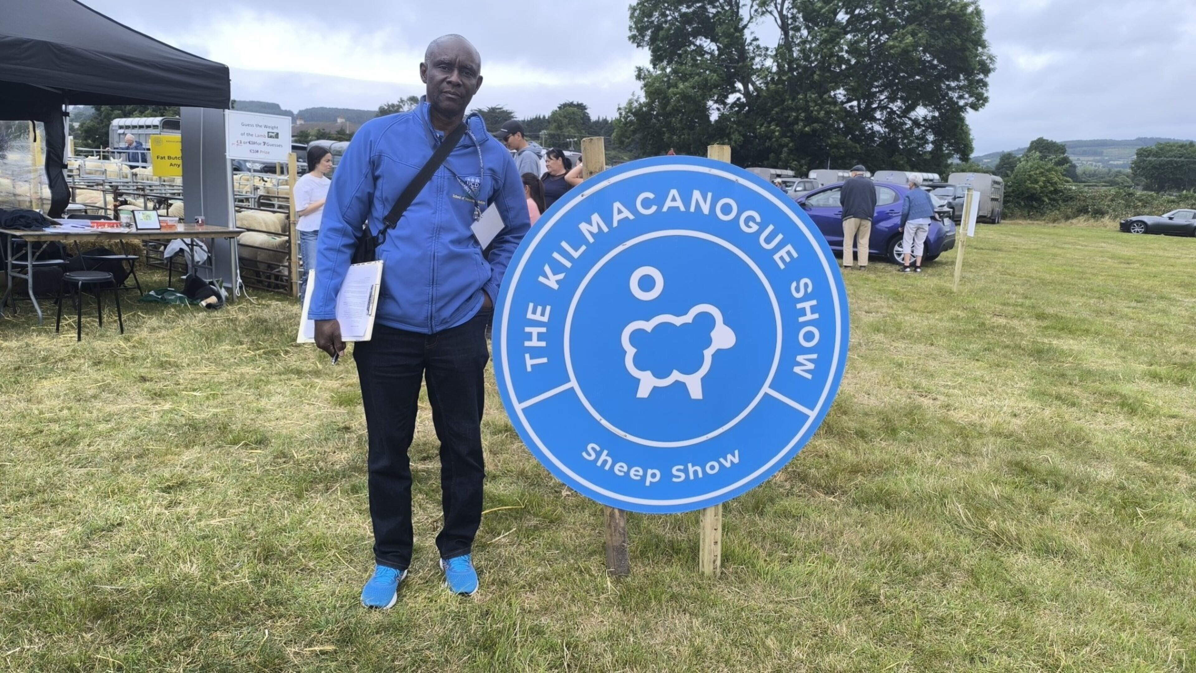 Wicklow Farmers Share Sheep Worrying Experiences