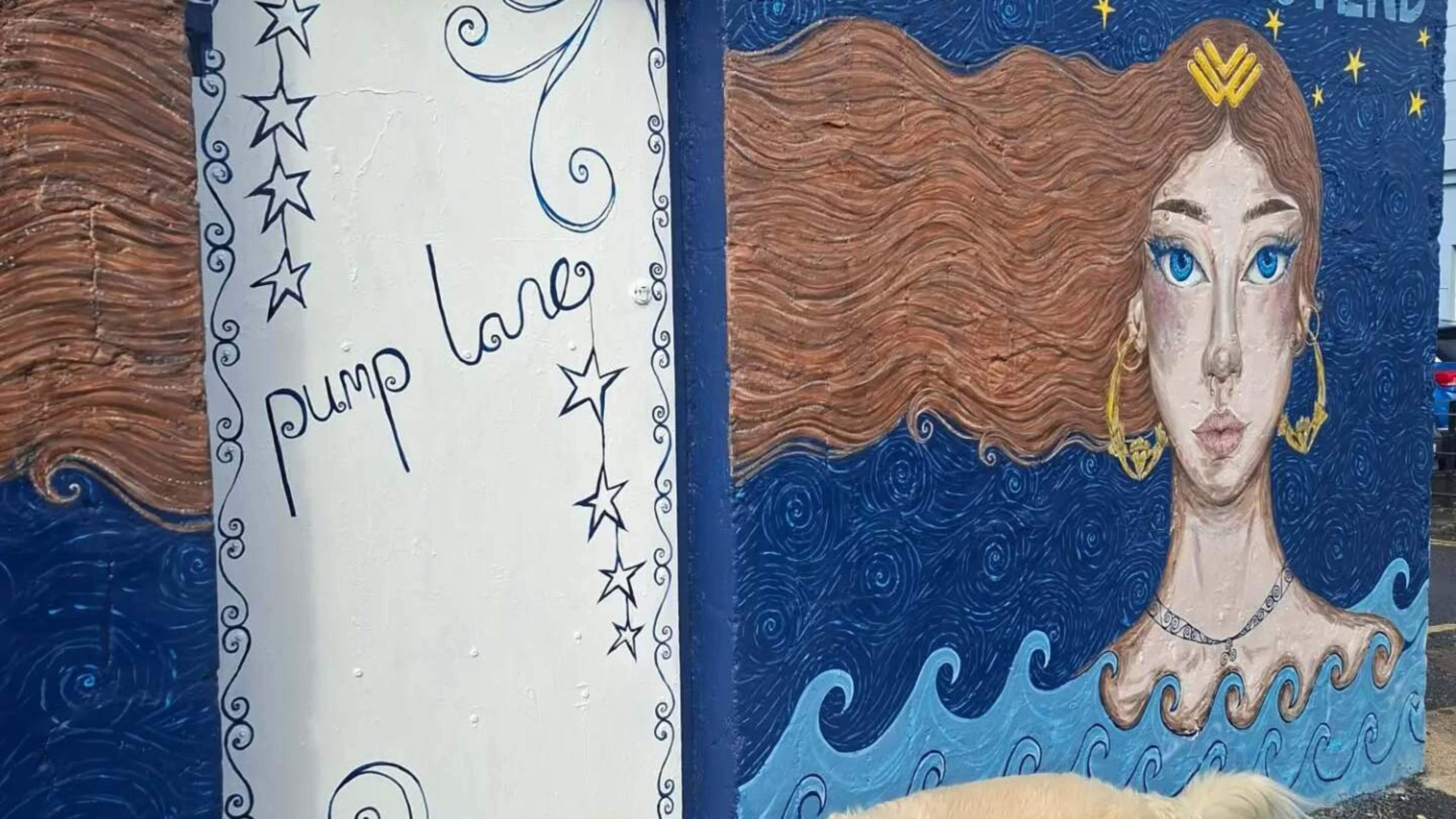 Galway Laneway Becomes Open-Air Gallery
