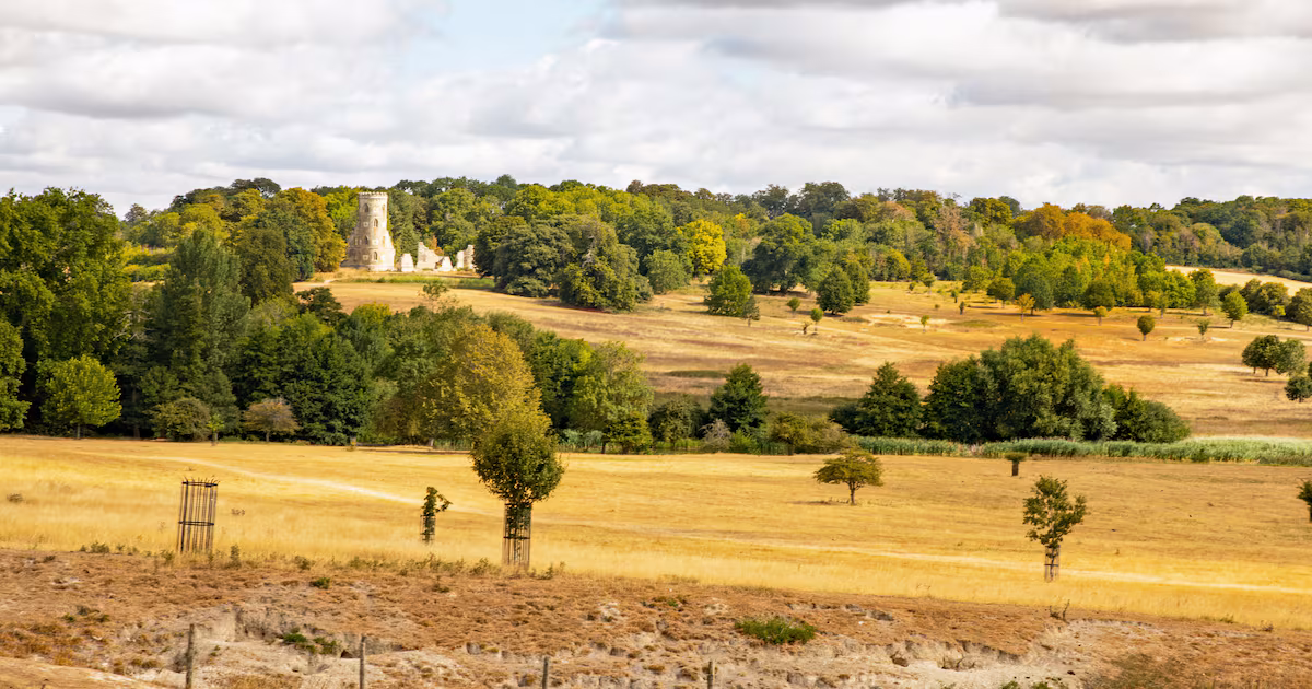 National Trust estate faces hay shortage due to drought