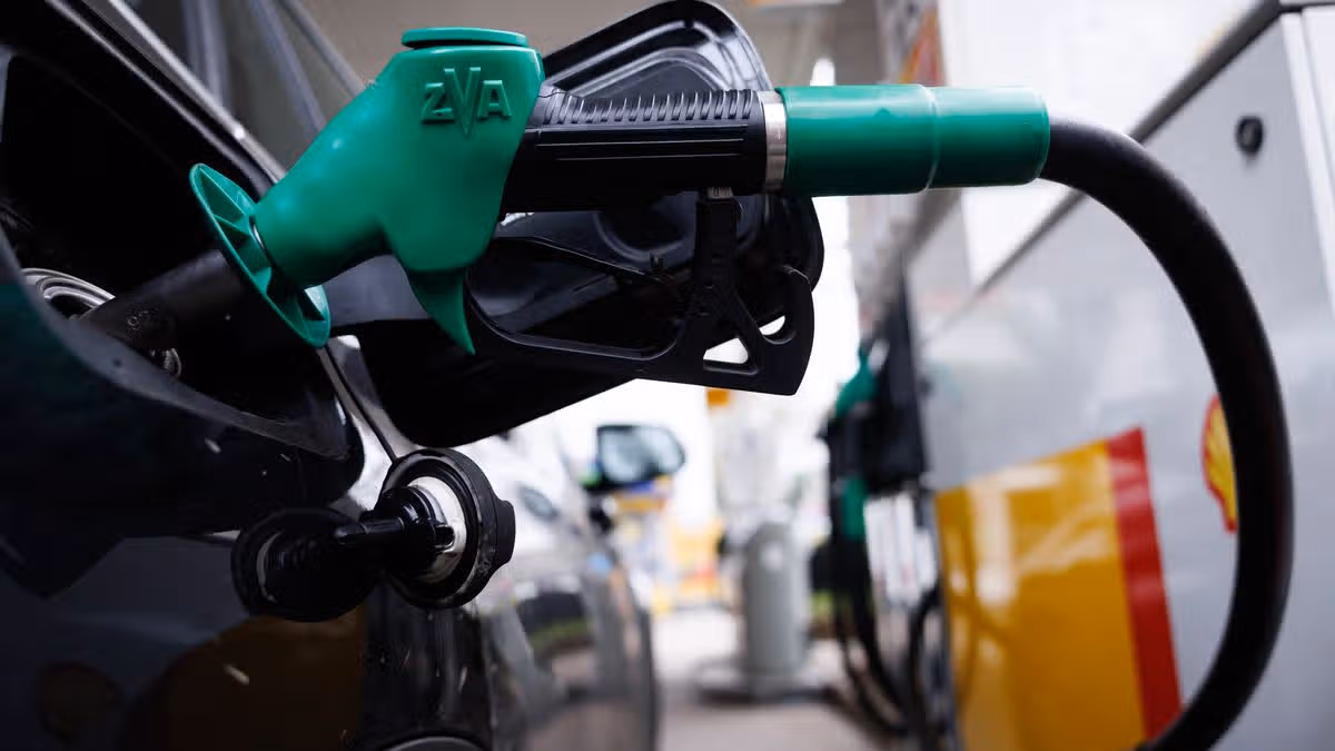 Government Failing on Energy Crisis, Warns Social Democrats