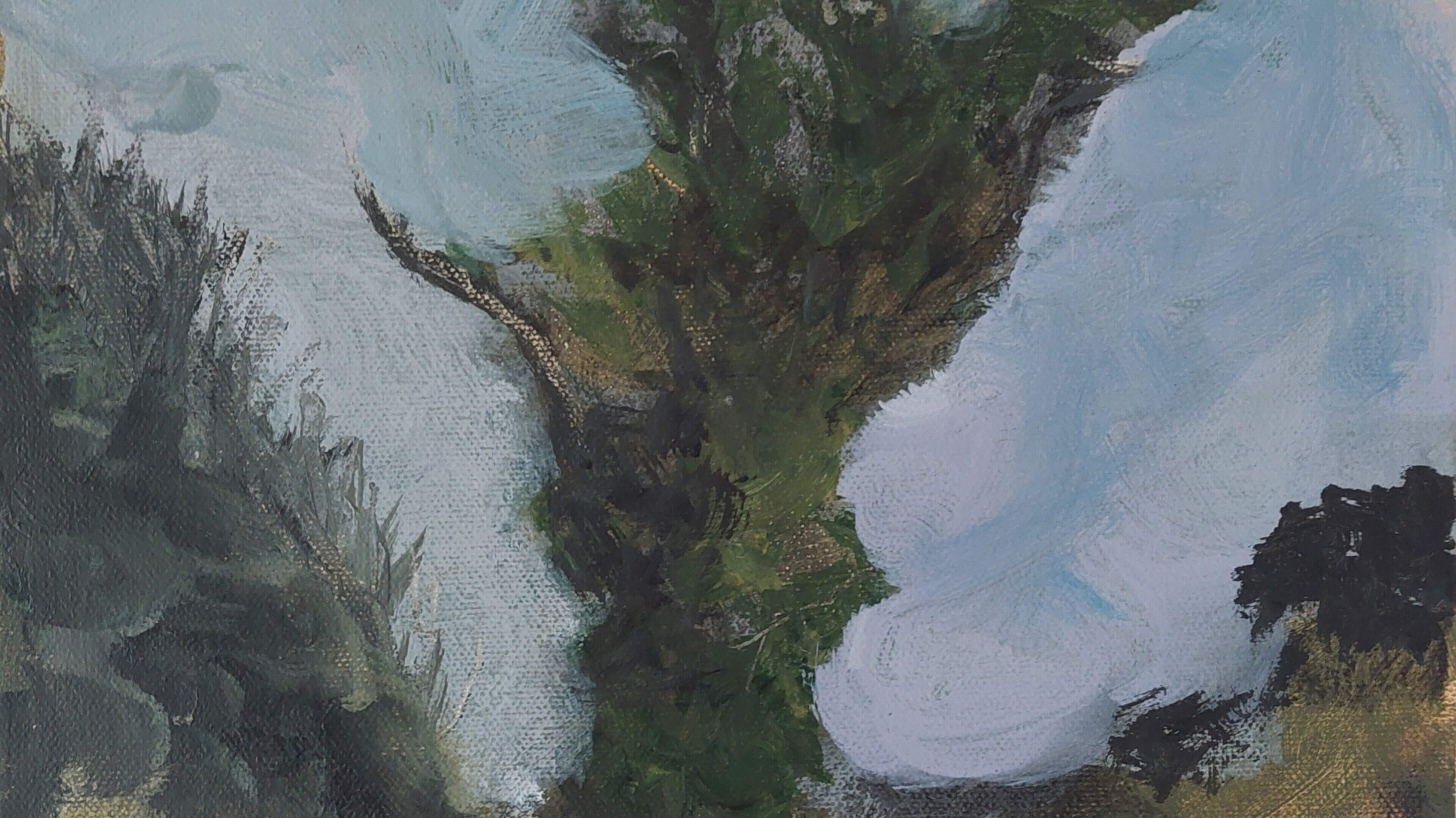 Tina Brooks Gallery Exhibition Highlights Sligo Coastline