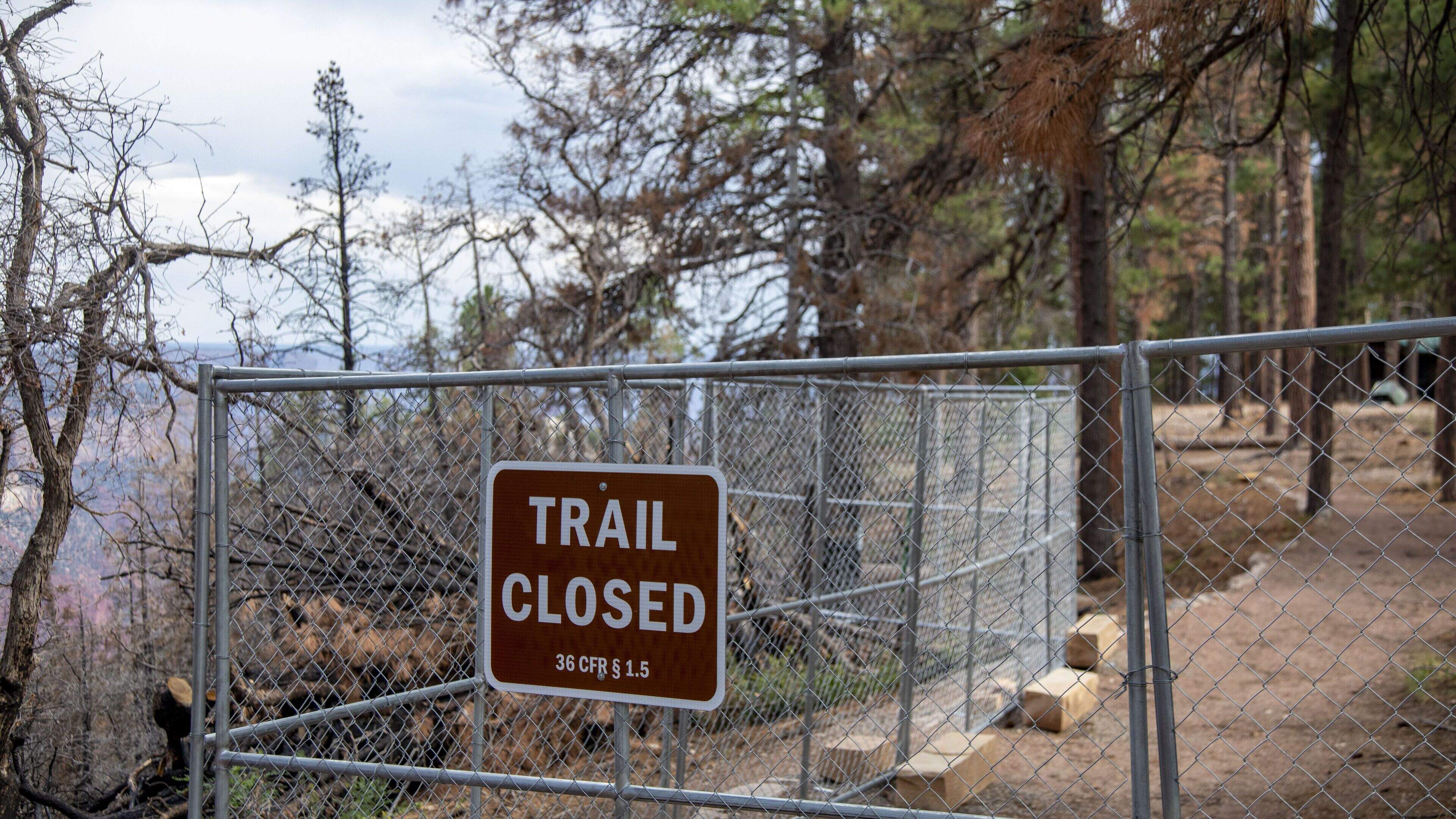 15 Missing After Grand Canyon Flash Flooding