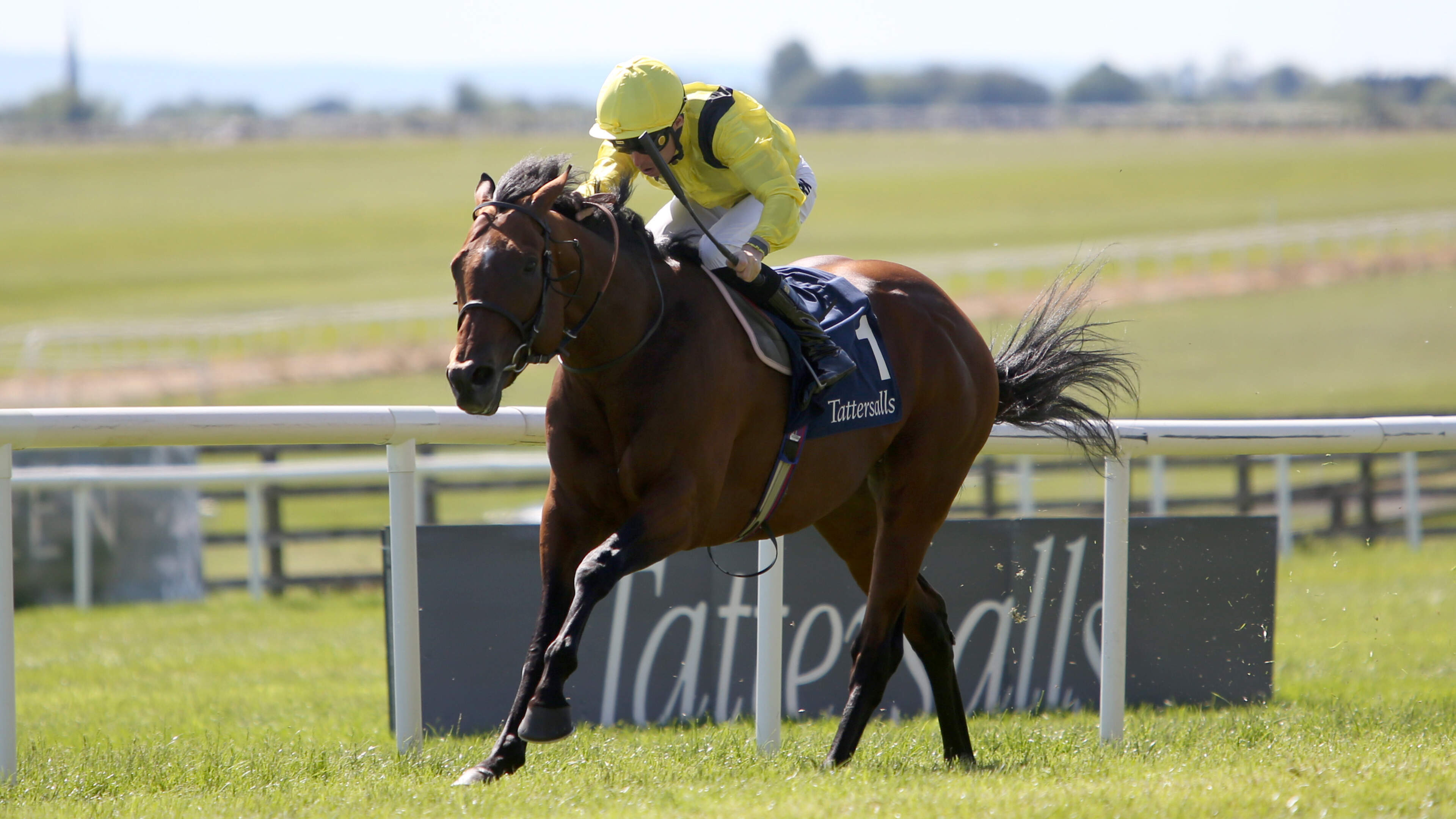 Ed Walker Eyes Leopardstown for Almaqam