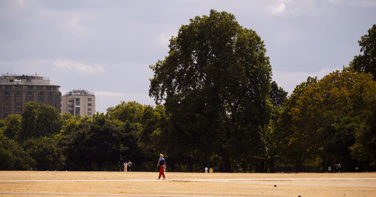 Summer 2026 is UK’s warmest since records began