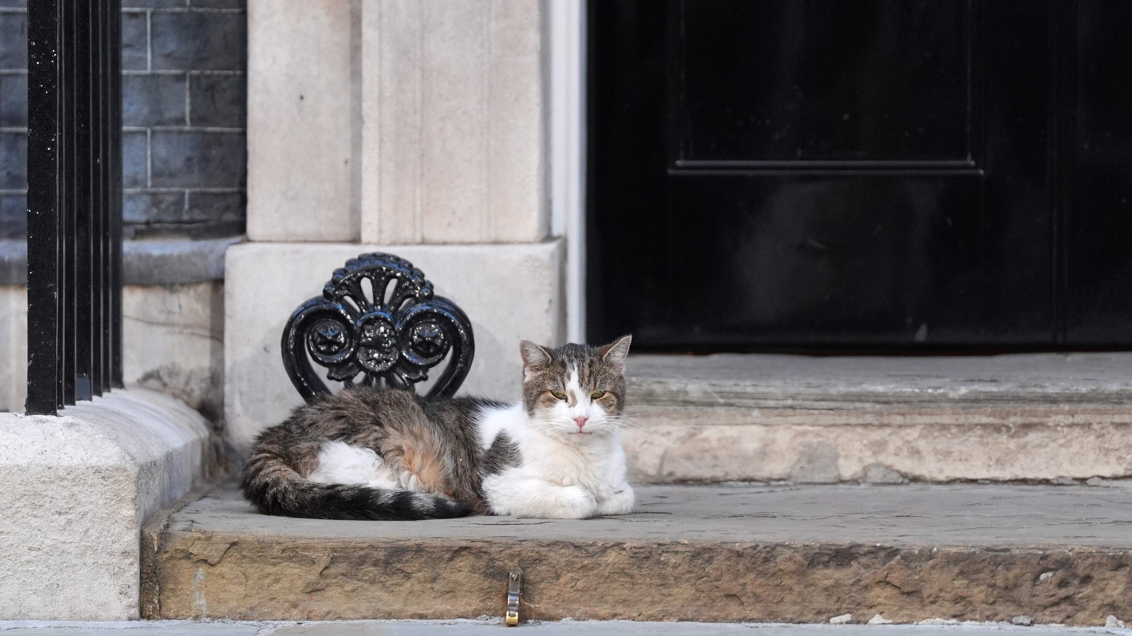 Watchdog Exposes Security Gaps at No.10