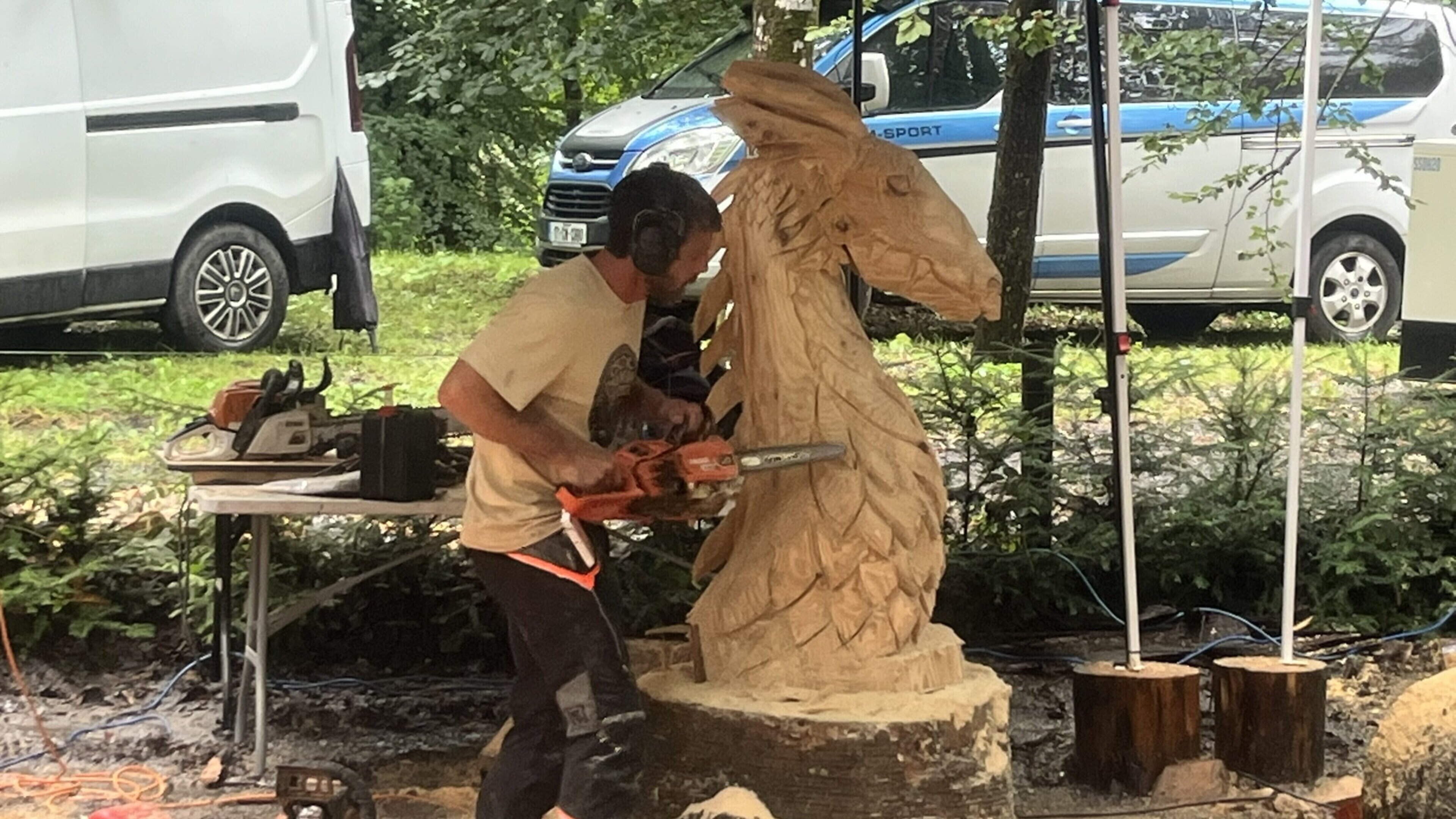 Woodland Show in Kilkenny Features Carvers and Musicians