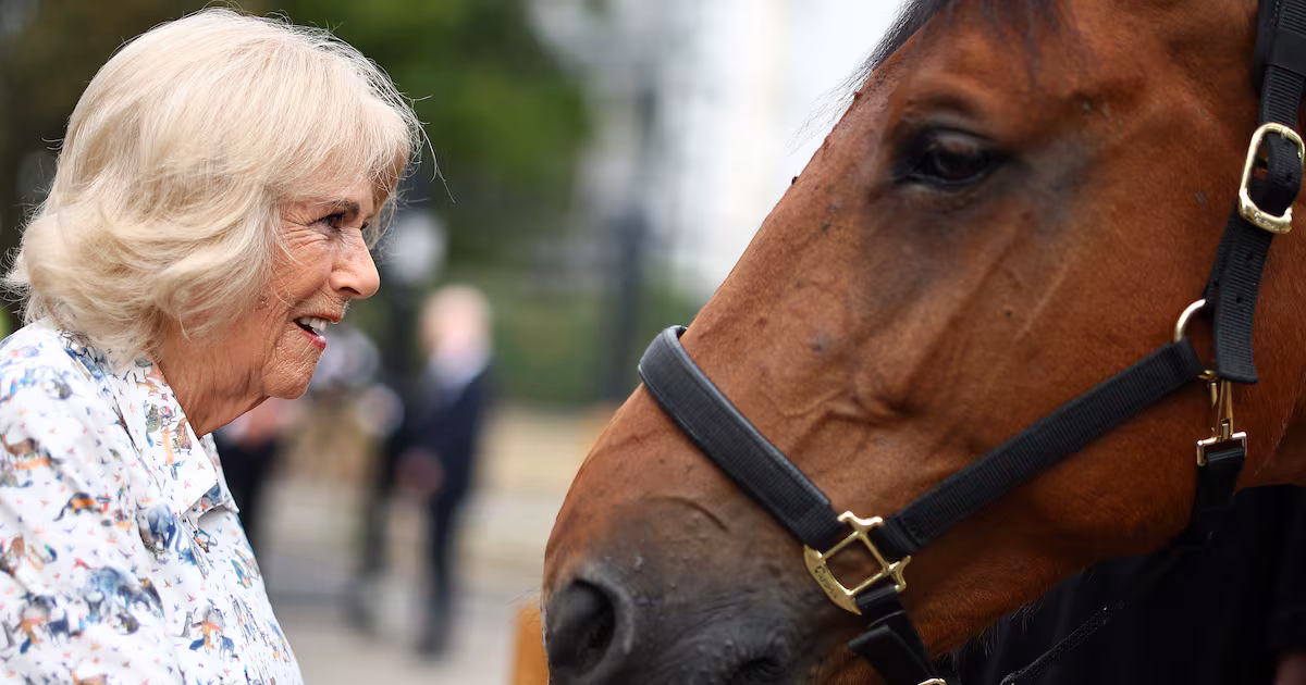 Camilla Praises Inner-City Riding Club