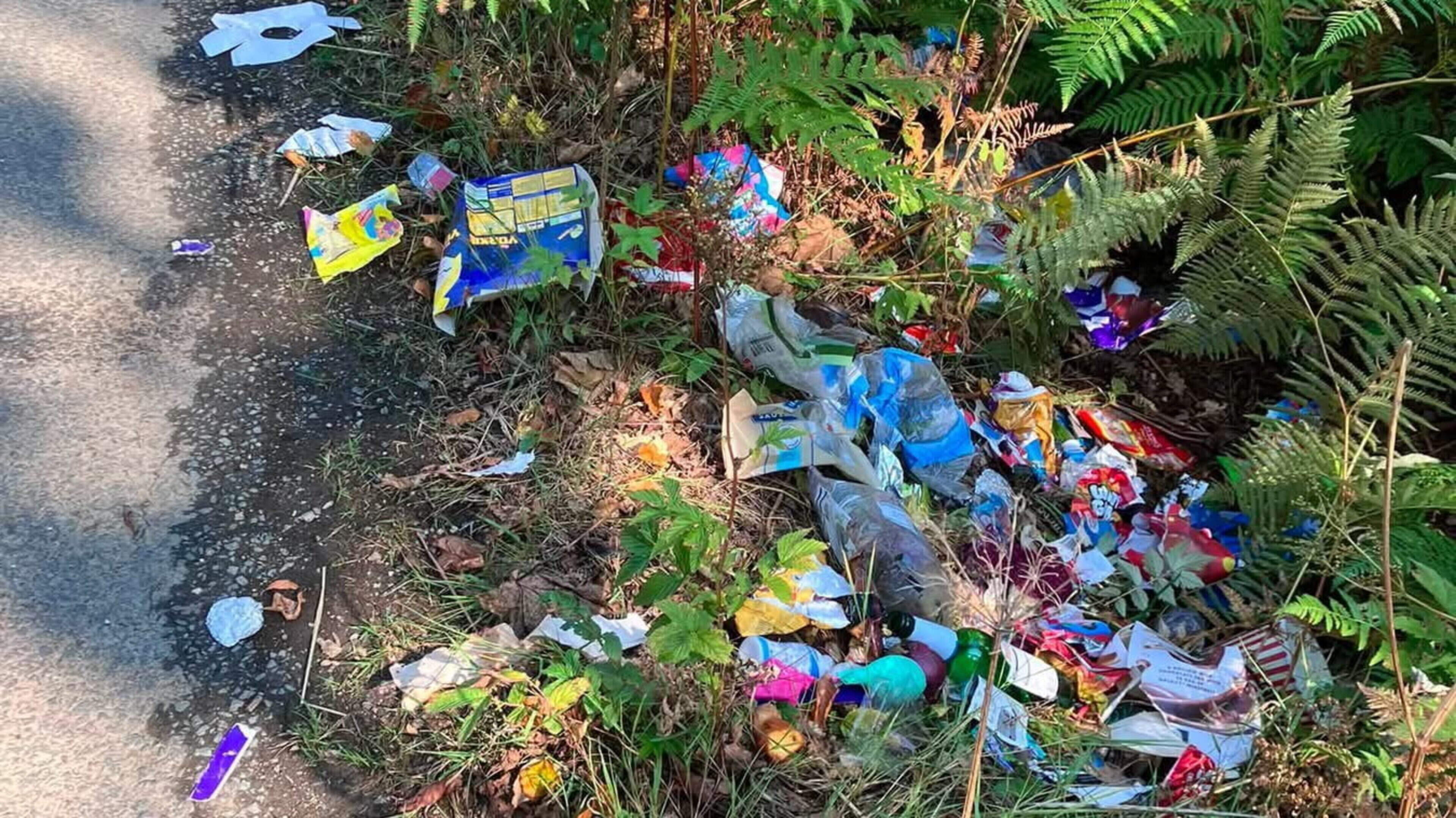 Illegal Dumping Frustrates Wexford Tidy Towns Group