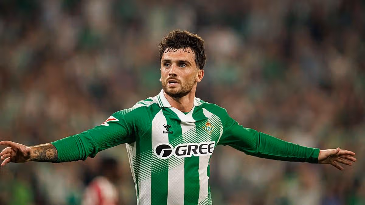 Irish Support for Troy Parrott Grows