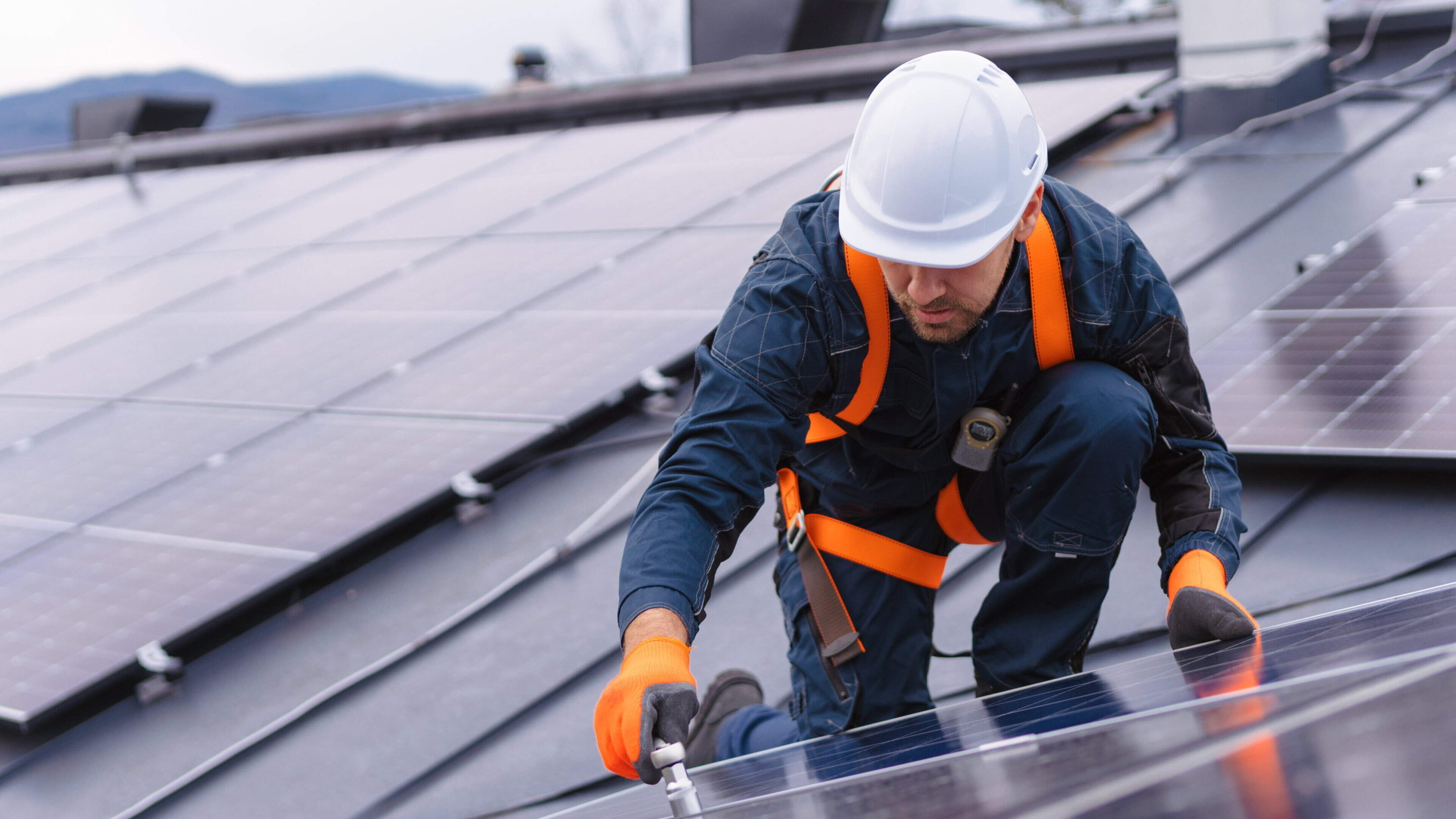 Wicklow Schools Lead Solar Rollout