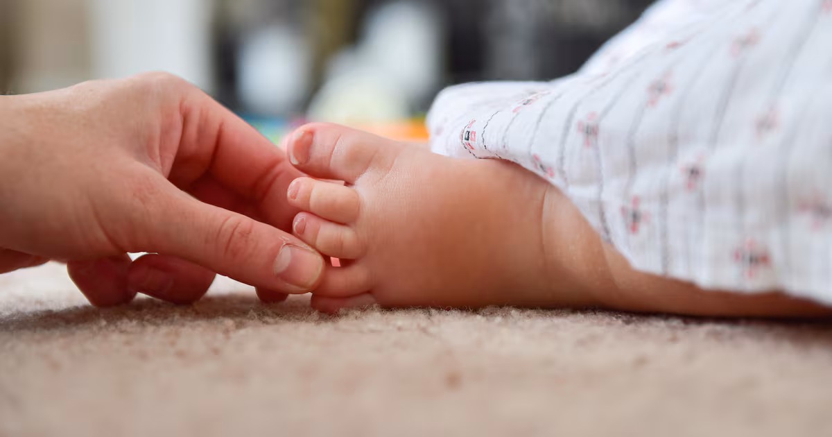 Local areas with highest and lowest fertility rates revealed