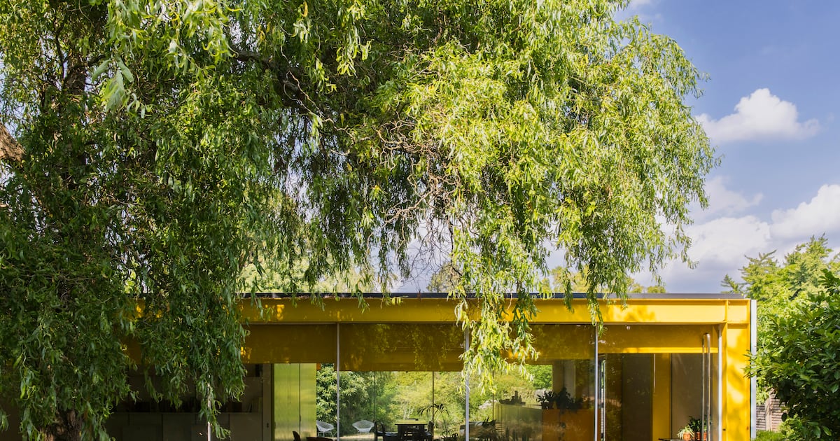 Richard Rogers’s Wimbledon home given to National Trust