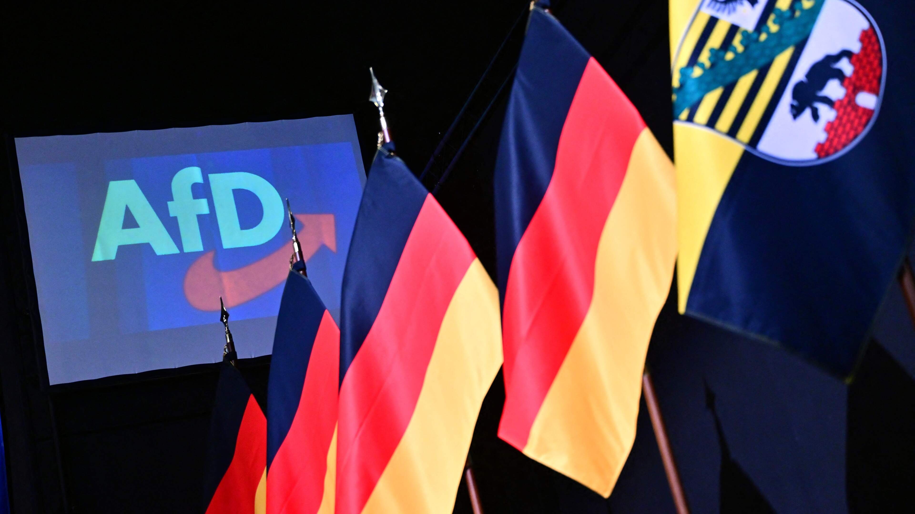 Germany's AfD Parliamentarians: A Controversial Mix
