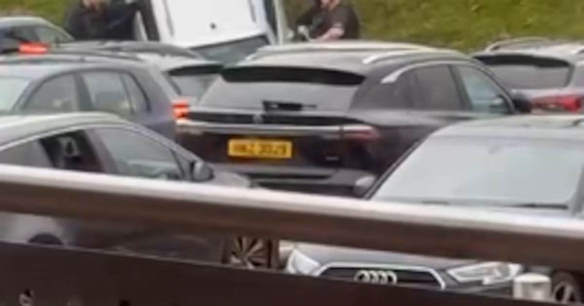 West Belfast man pleads guilty to car theft