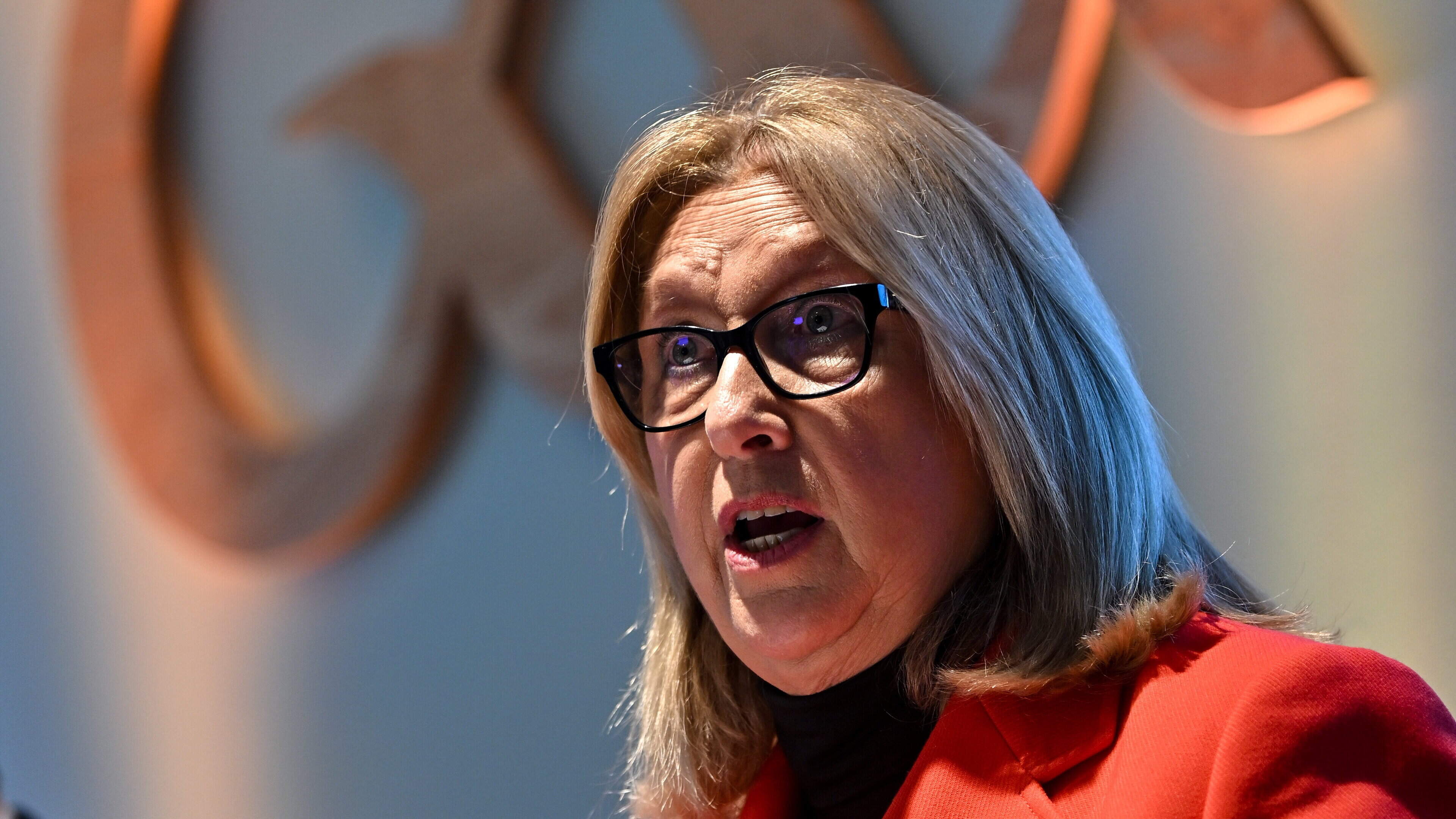 Mary McAleese Resignation Shakes Irish Sport
