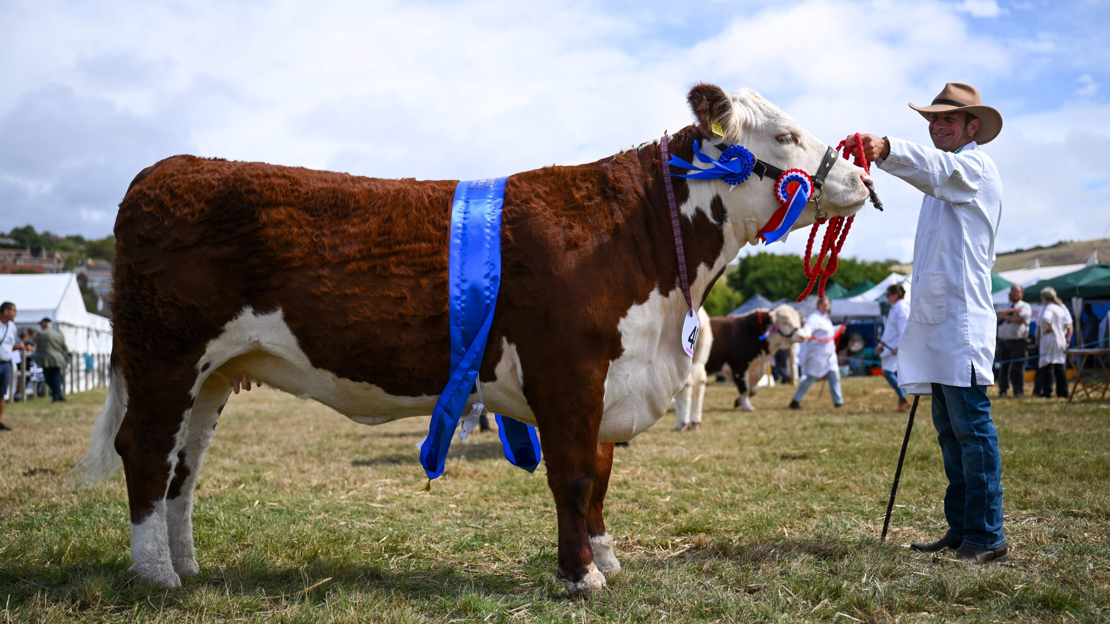 UK Court Battle Over Hereford Cattle Breed