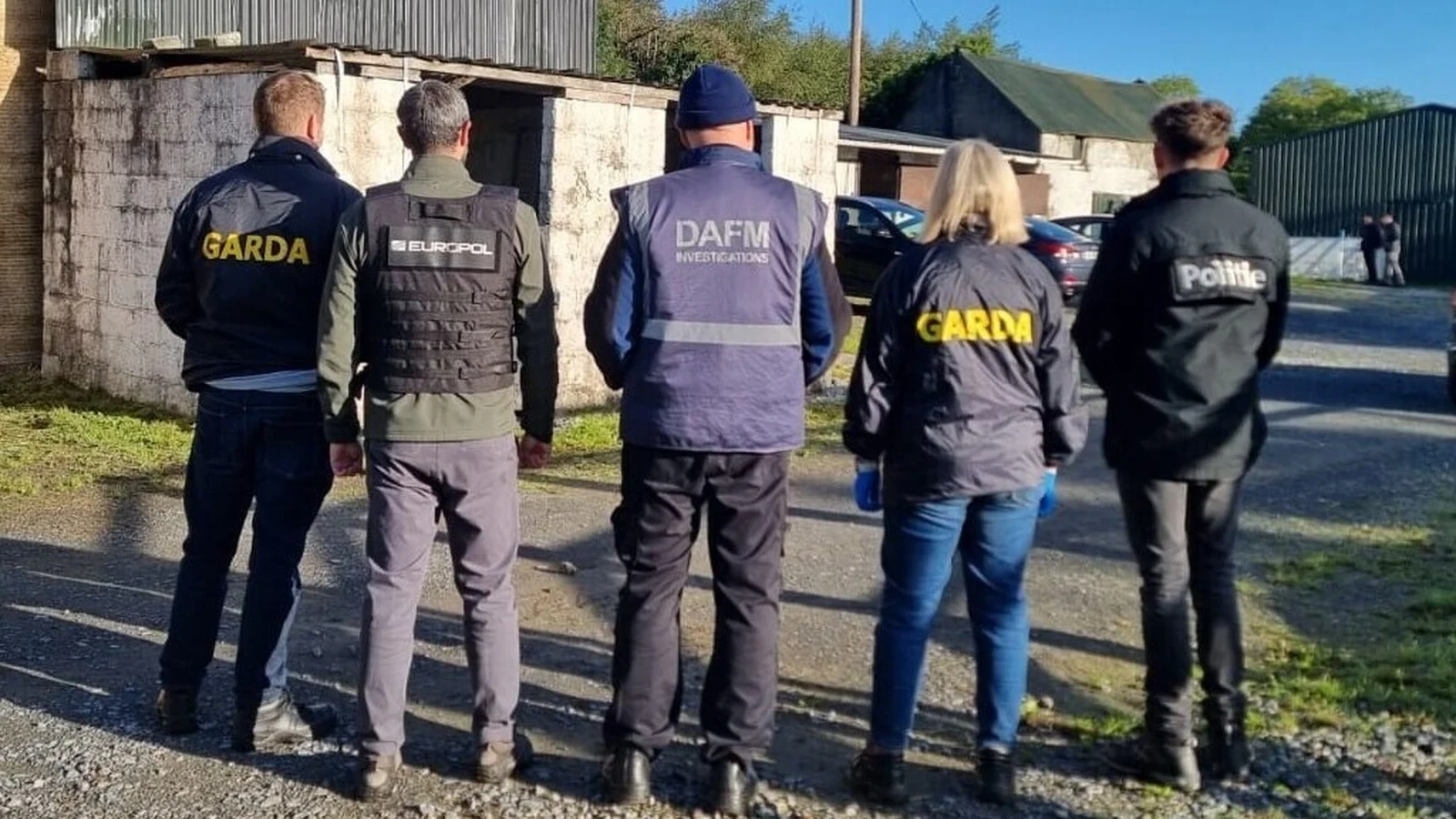 Ireland Conducts Searches in Horse Trafficking Operation