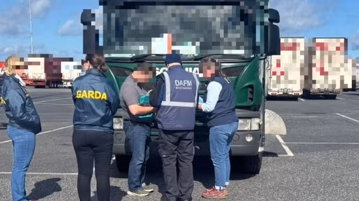 Gardaí Target Horse Trafficking Network